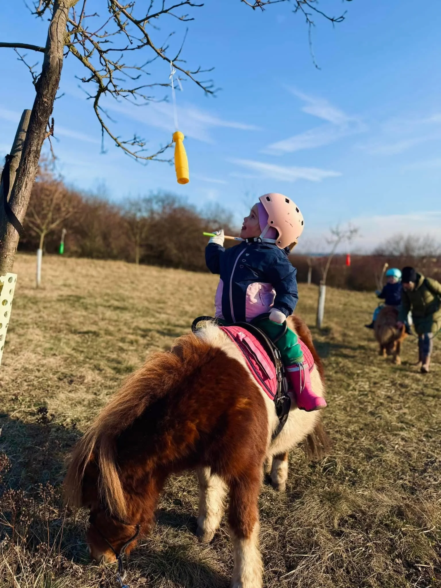 Zážitek na poníkové farmě: péče o poníky i projížďka s hledáním pokladu či plněním úkolů