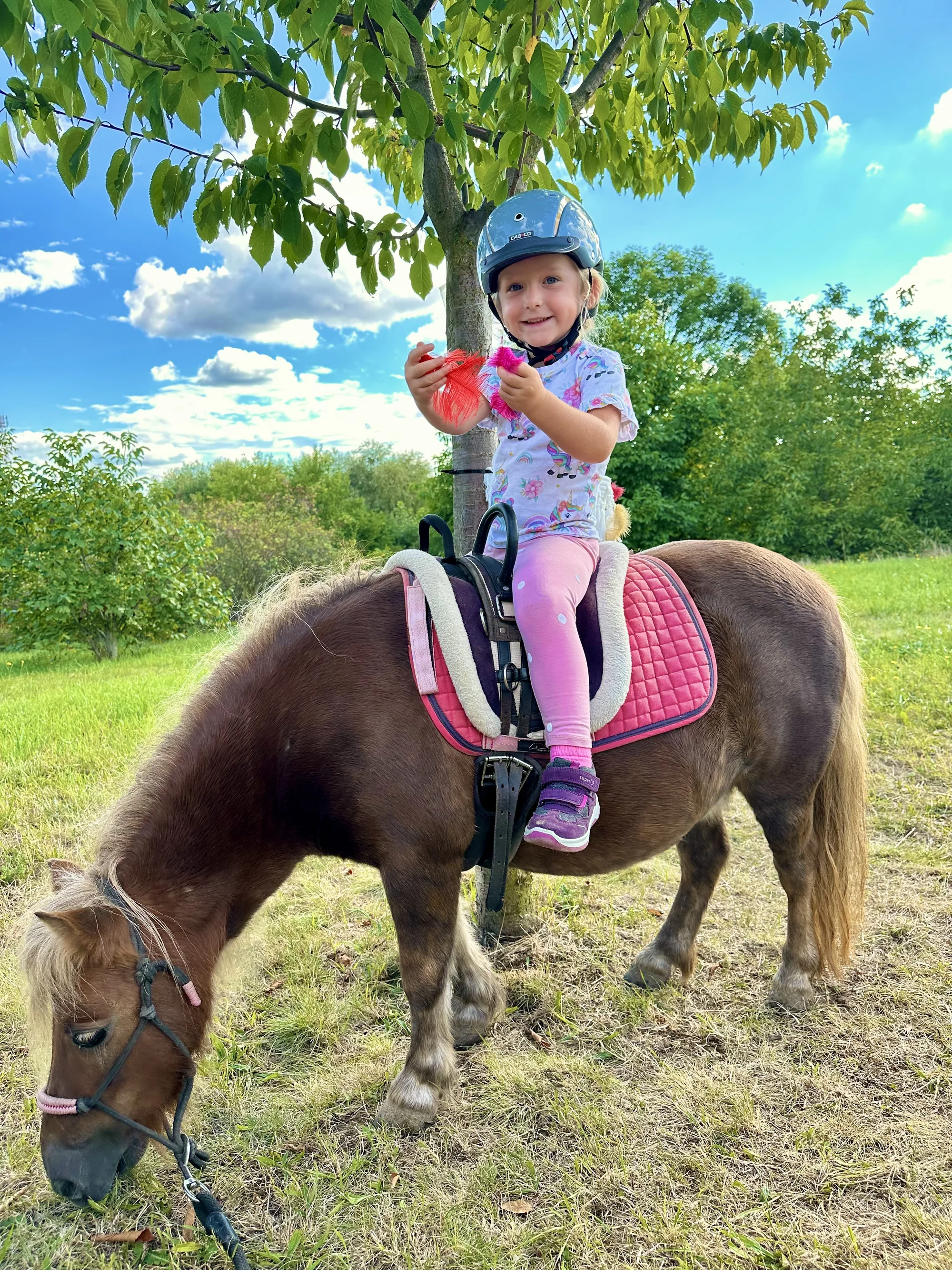 Zážitek na poníkové farmě: péče o poníky i projížďka s hledáním pokladu či plněním úkolů