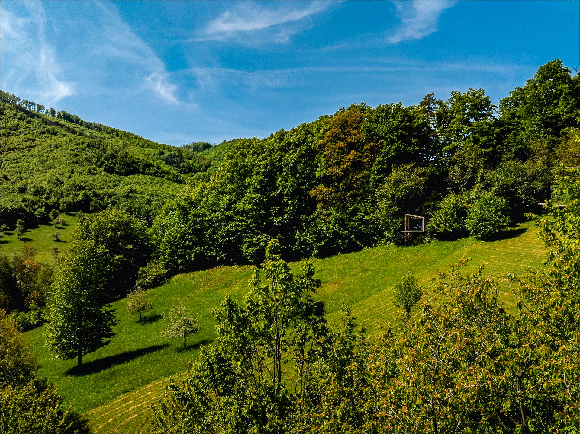 Luxusní designový domek spjatý s přírodou, varianta s boxem plným dobrot