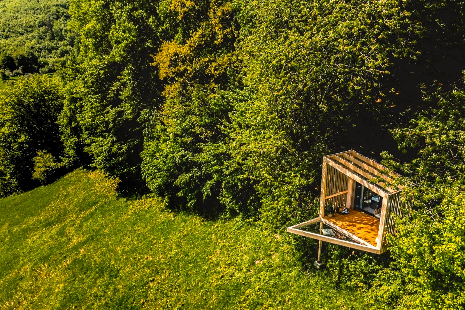 Luxusní designový domek spjatý s přírodou, varianta s boxem plným dobrot