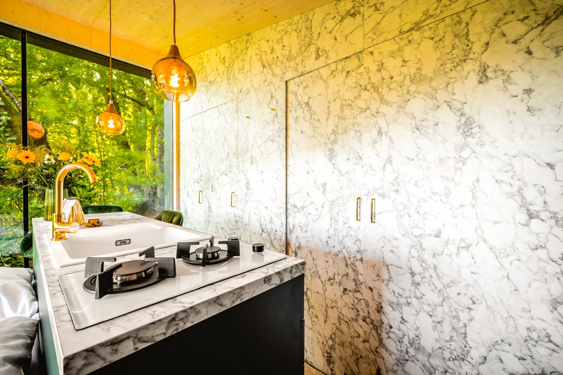 Luxusní designový domek spjatý s přírodou, varianta s boxem plným dobrot