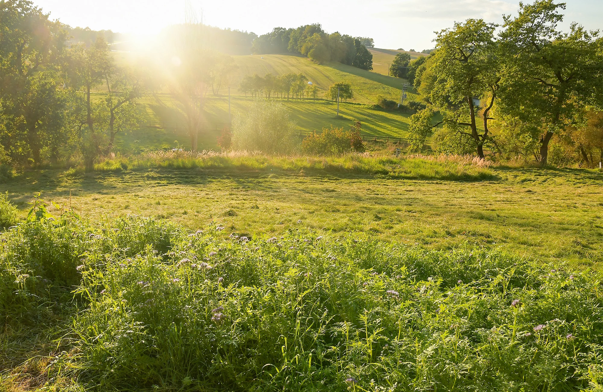 Jurta v Toulavě: areál statku uprostřed přírody a vyžití pro děti