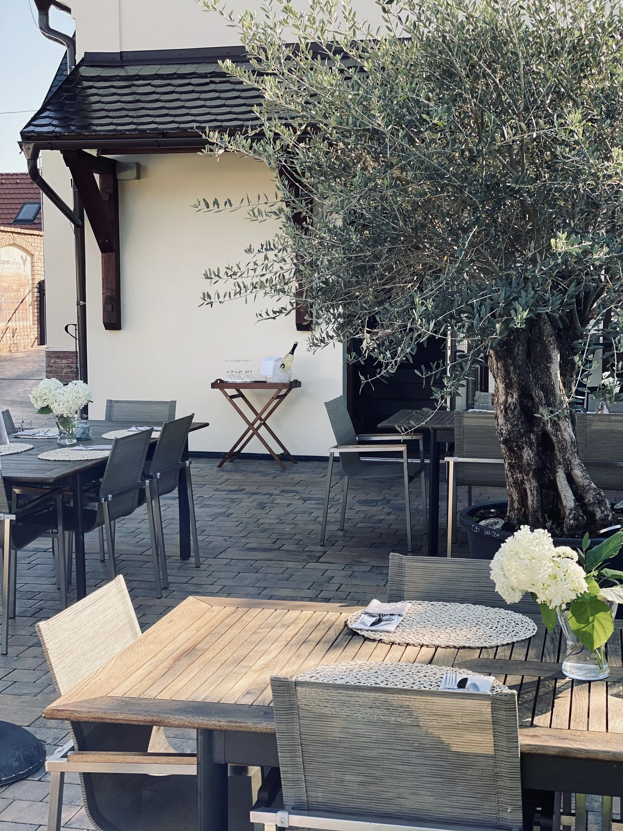 Penzion jen 500 m od zámku Valtice se snídaní i degustací koňaků