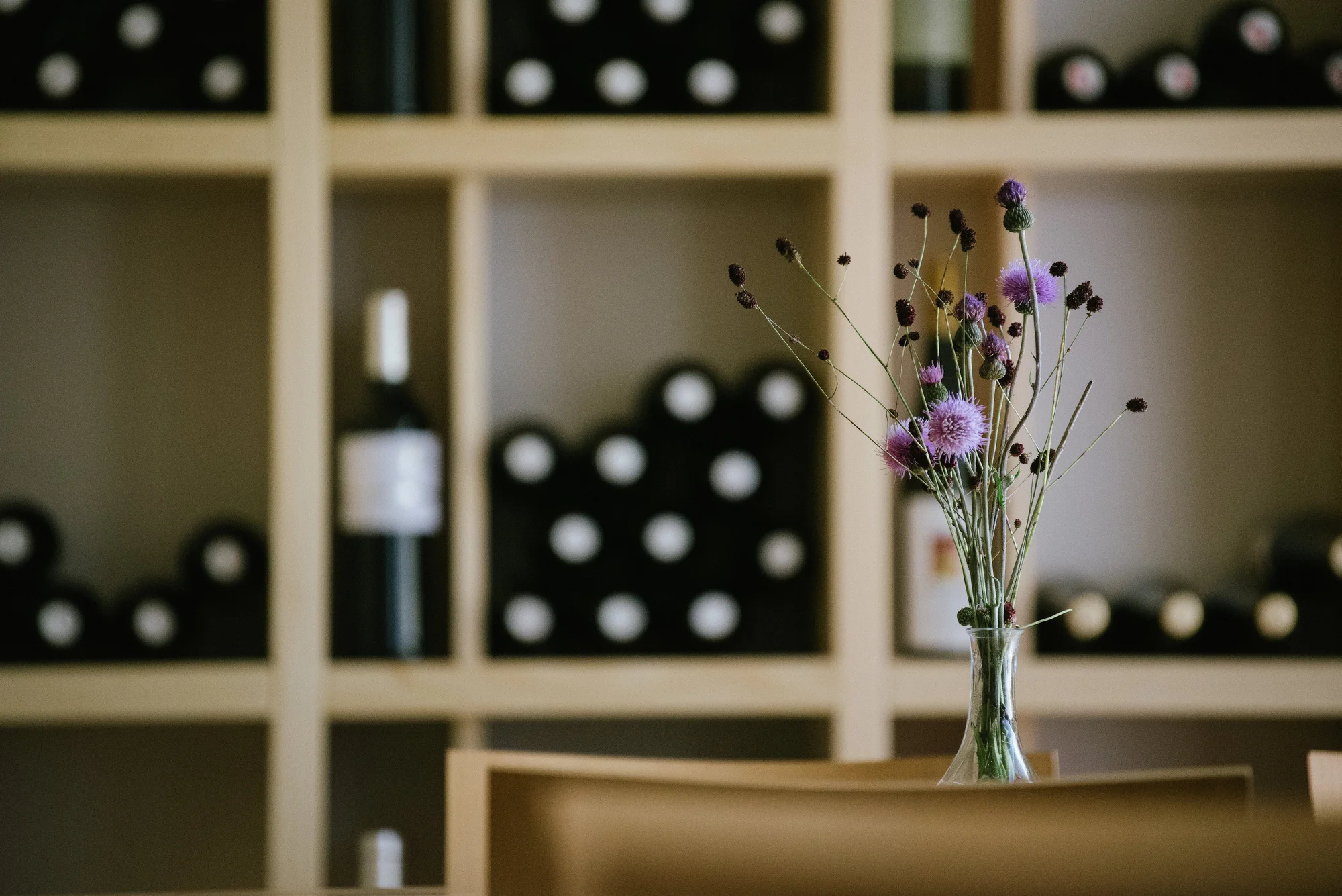 Moravský kras: nádherné ubytování v přírodě s polopenzí i vínem a privátním wellness