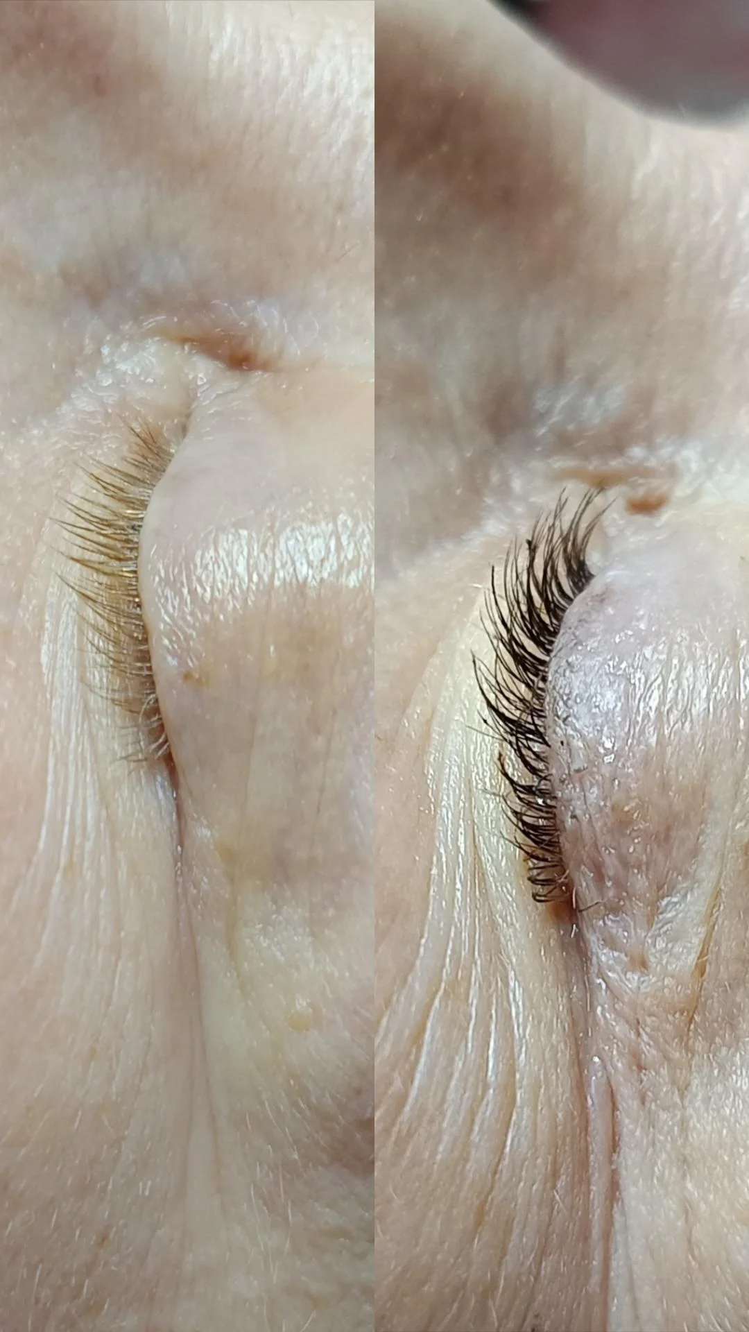 Rozmazlete sebe i svou pleť: hydratační či anti-age ošetření, lifting řas nebo laminace obočí