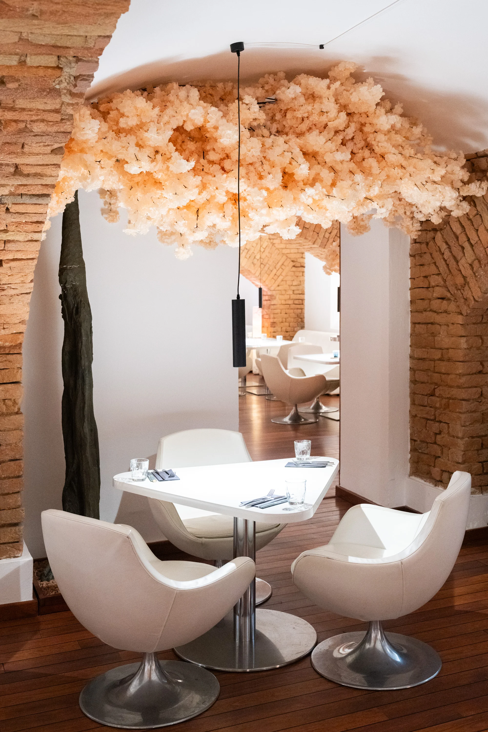 Sushi set s 50 kousky v restauraci v centru Brna: úhoř, losos, tuňák i procecco na přípitek