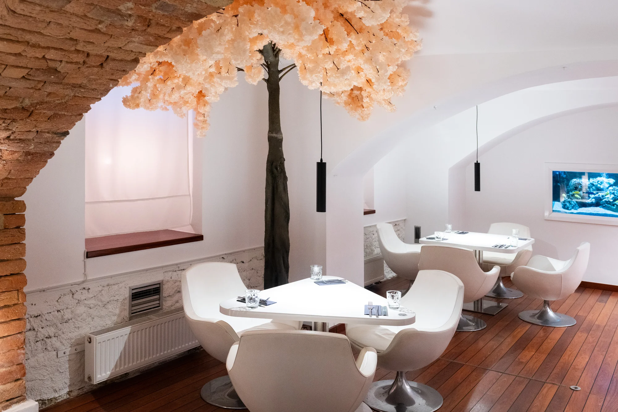 Sushi set s 50 kousky v restauraci v centru Brna: úhoř, losos, tuňák i procecco na přípitek