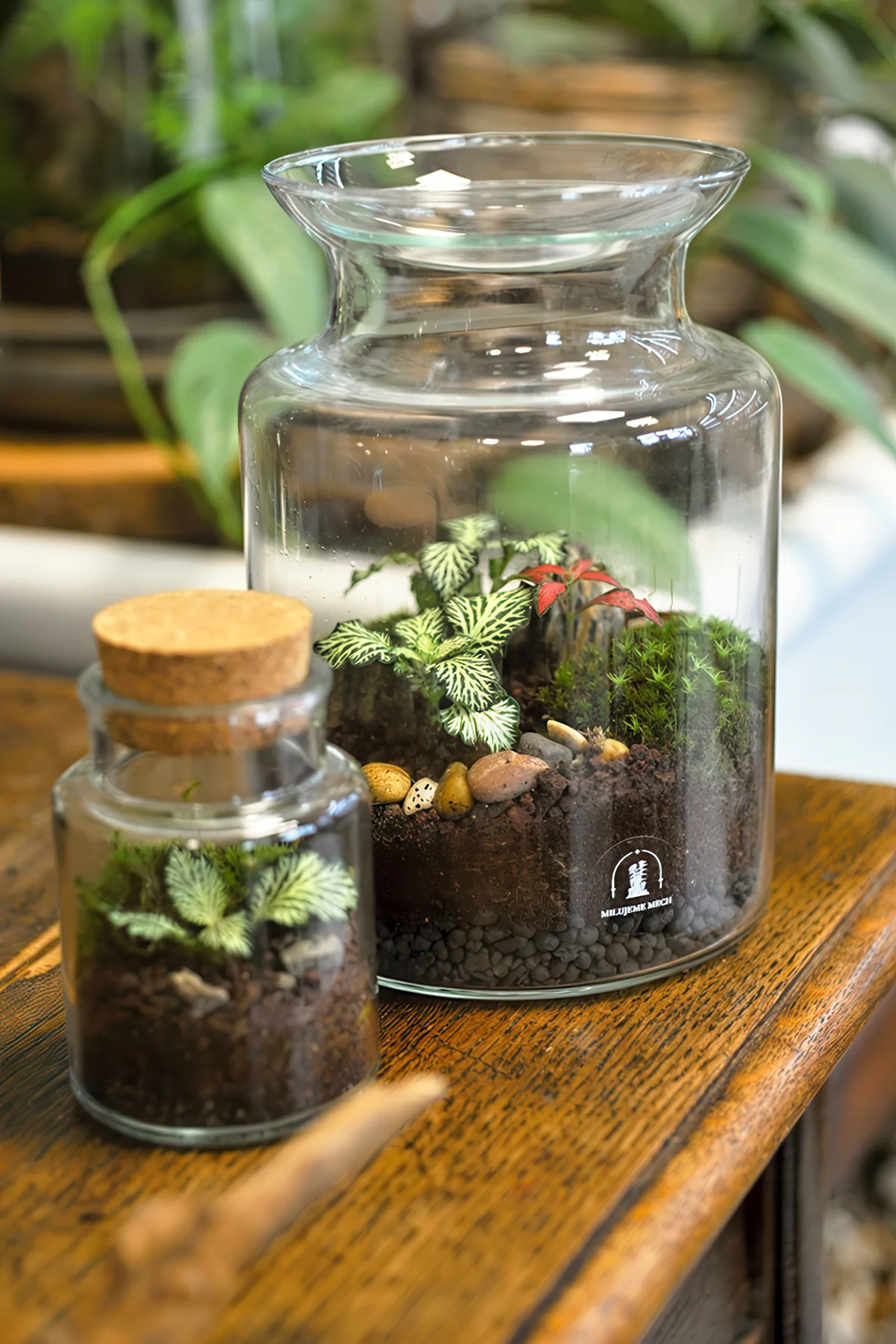 Kreativní workshop: vytvořte si vlastní mechárium a přineste si kousek přírody domů