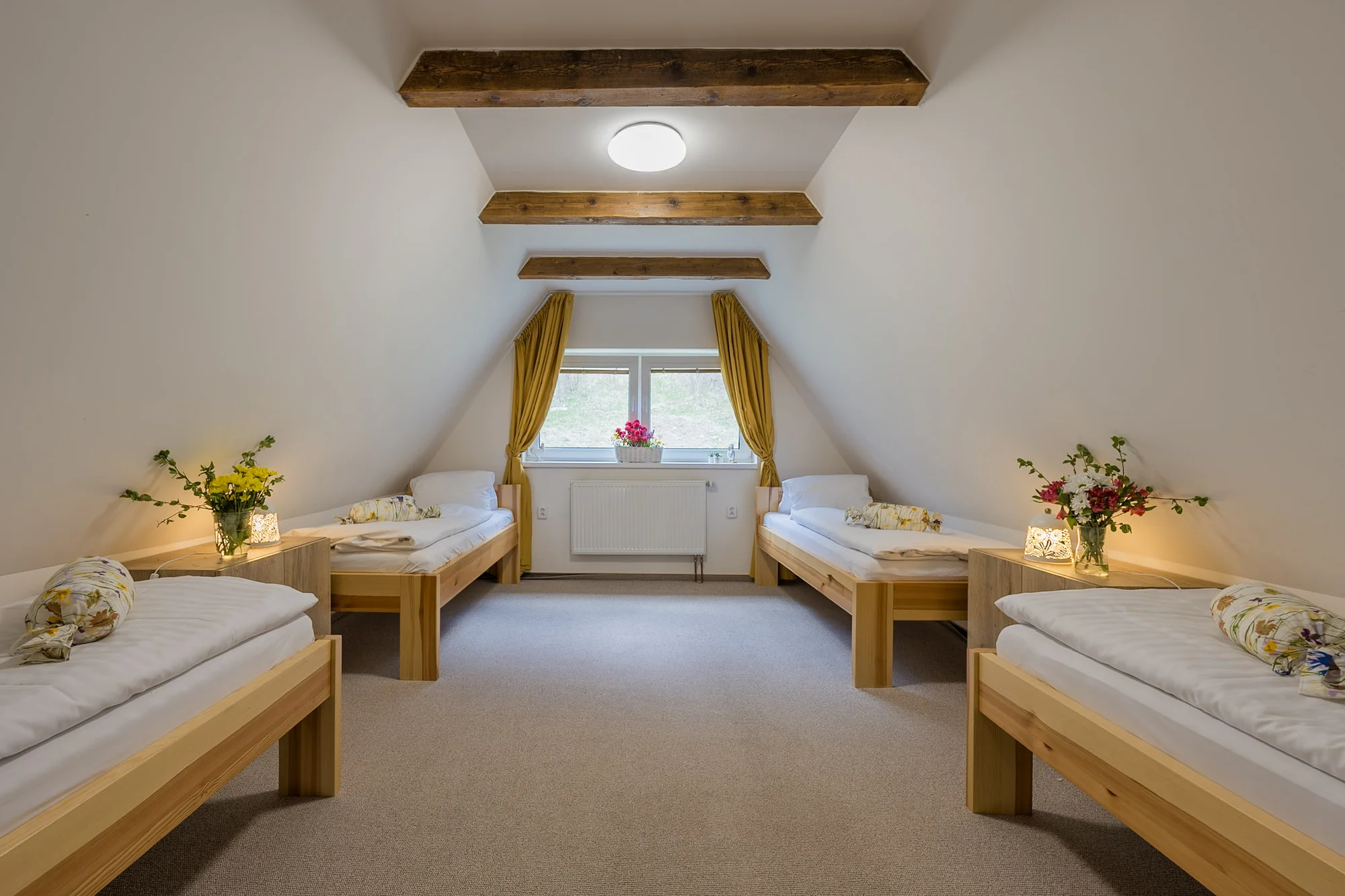 Vrbno pod Pradědem: luxusní apartmánový dům pro 10 osob, 7 km od Karlovy Studánky