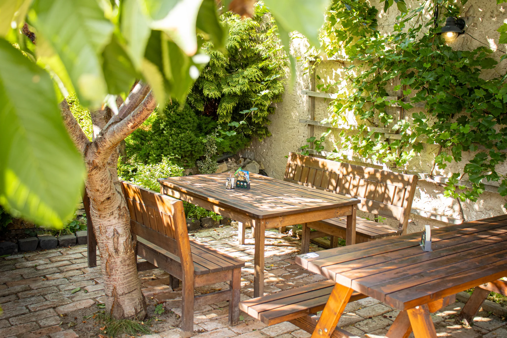 Namíchaný tatarák z falešné svíčkové a zlatavé topinky: 150 nebo 300 g