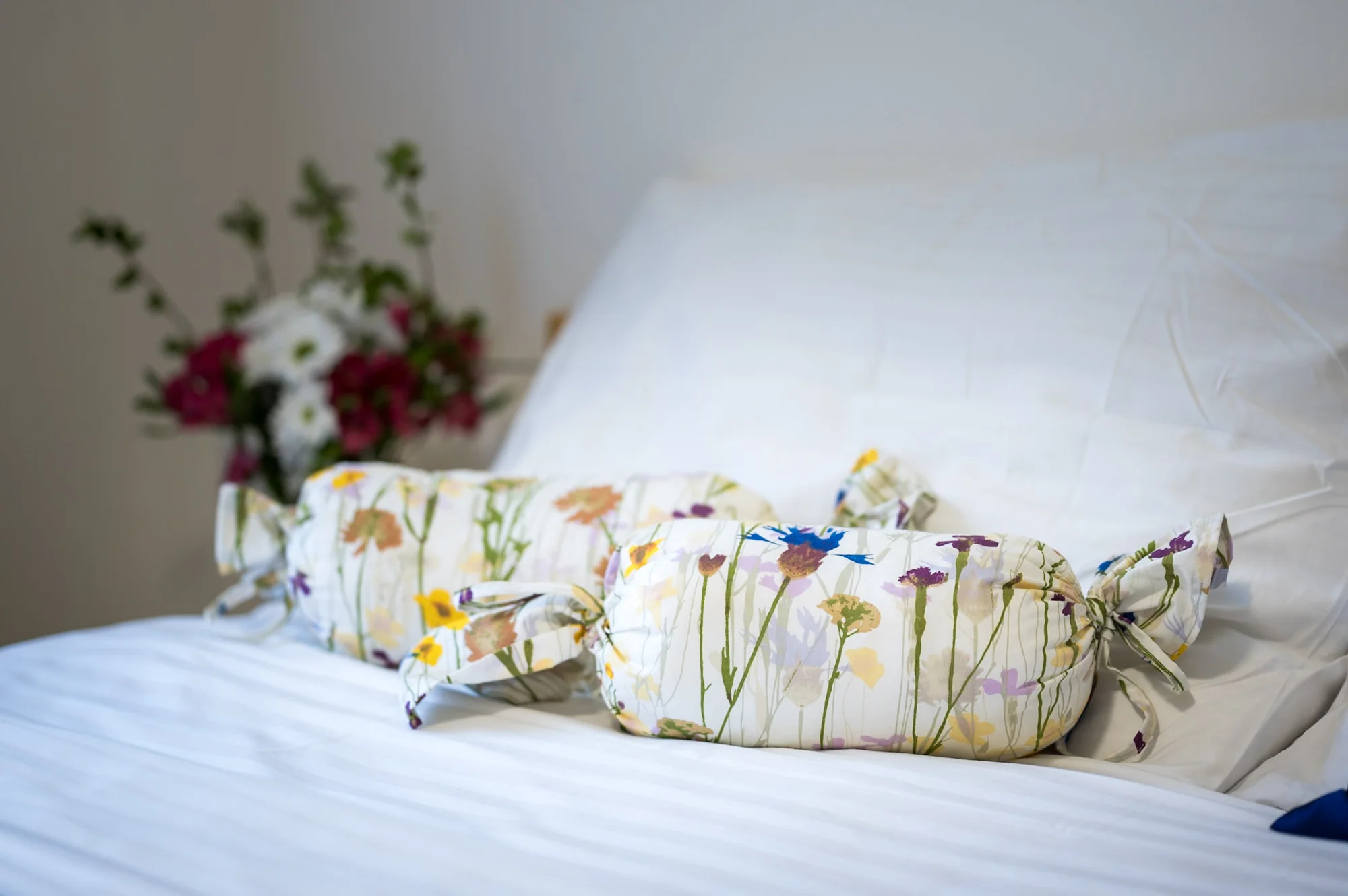 Vrbno pod Pradědem: luxusní apartmánový dům pro 10 osob, 7 km od Karlovy Studánky