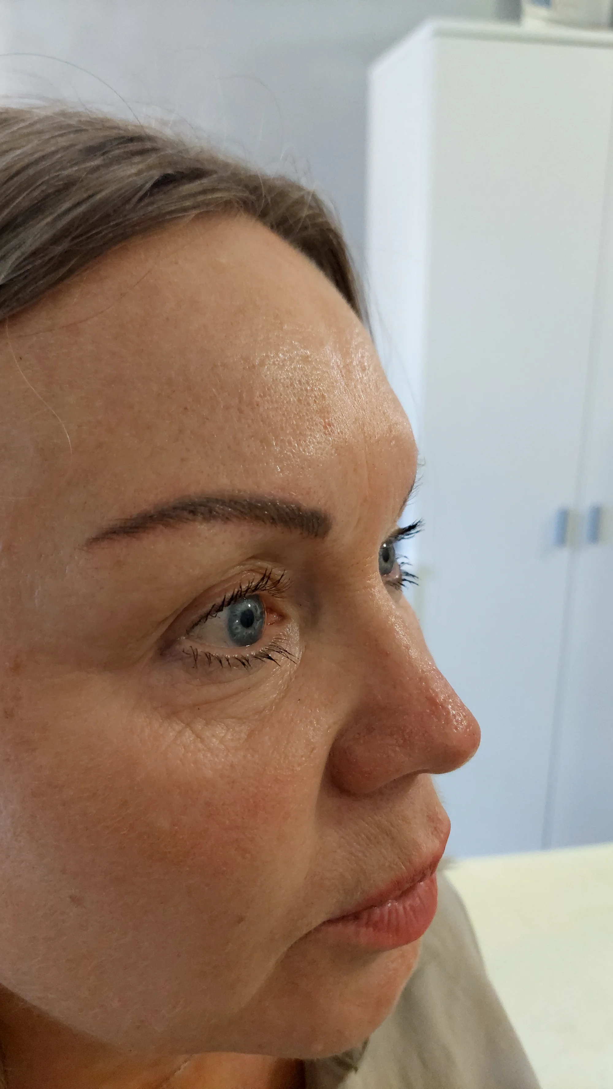 Permanentní make-up: microblading, pudrové obočí, oční linky i rty