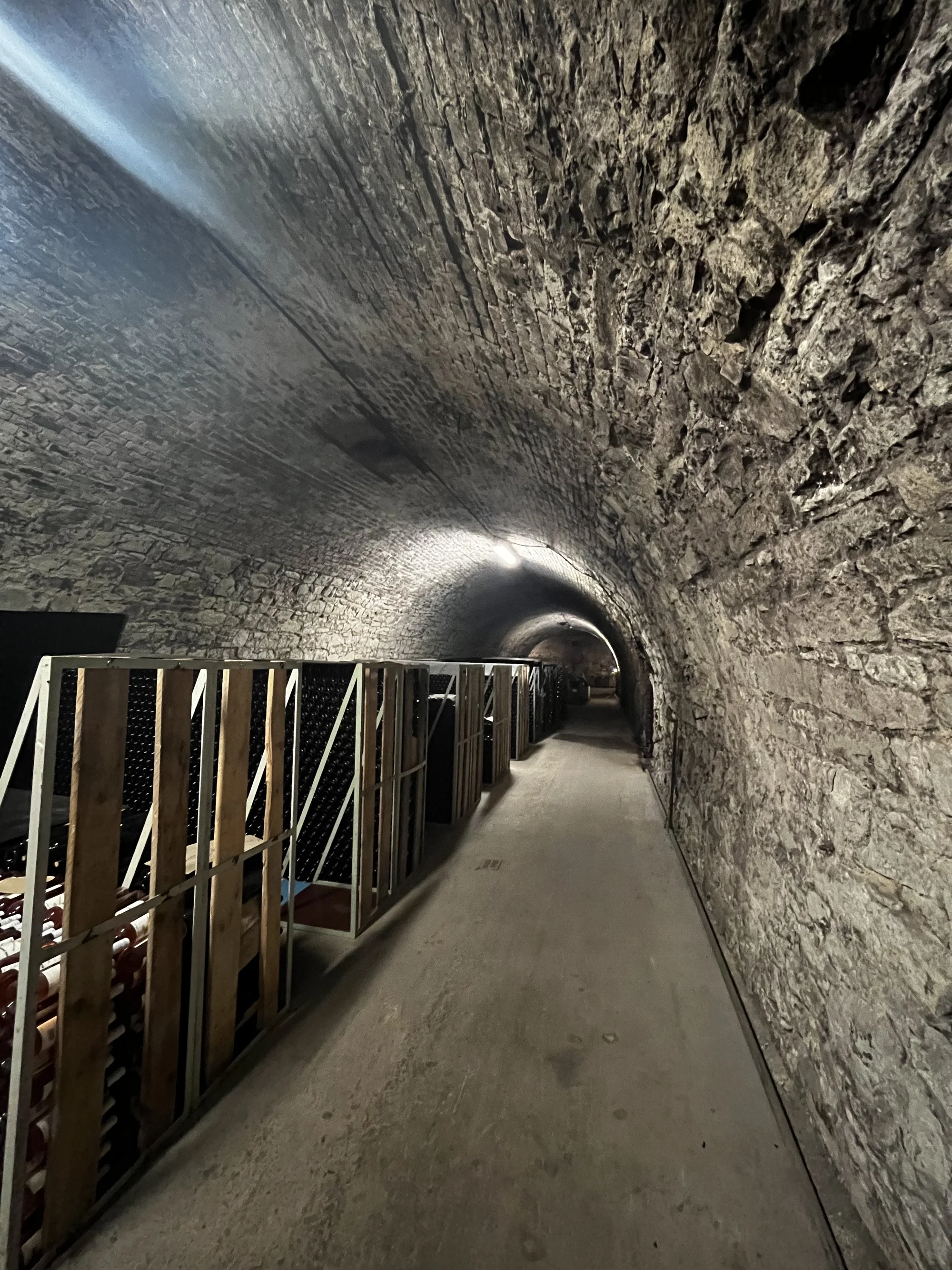 Na rok vinařem v srdci Českého středohoří: vinařské práce, adopce keře i 6 lahví vína