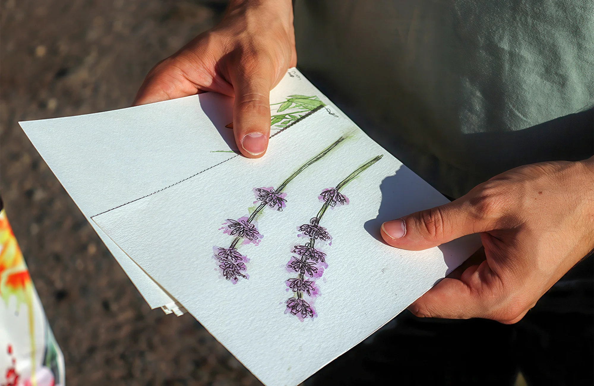 Tajemné bylinky Petřína: venkovní dobrodružná procházka pro celou rodinu