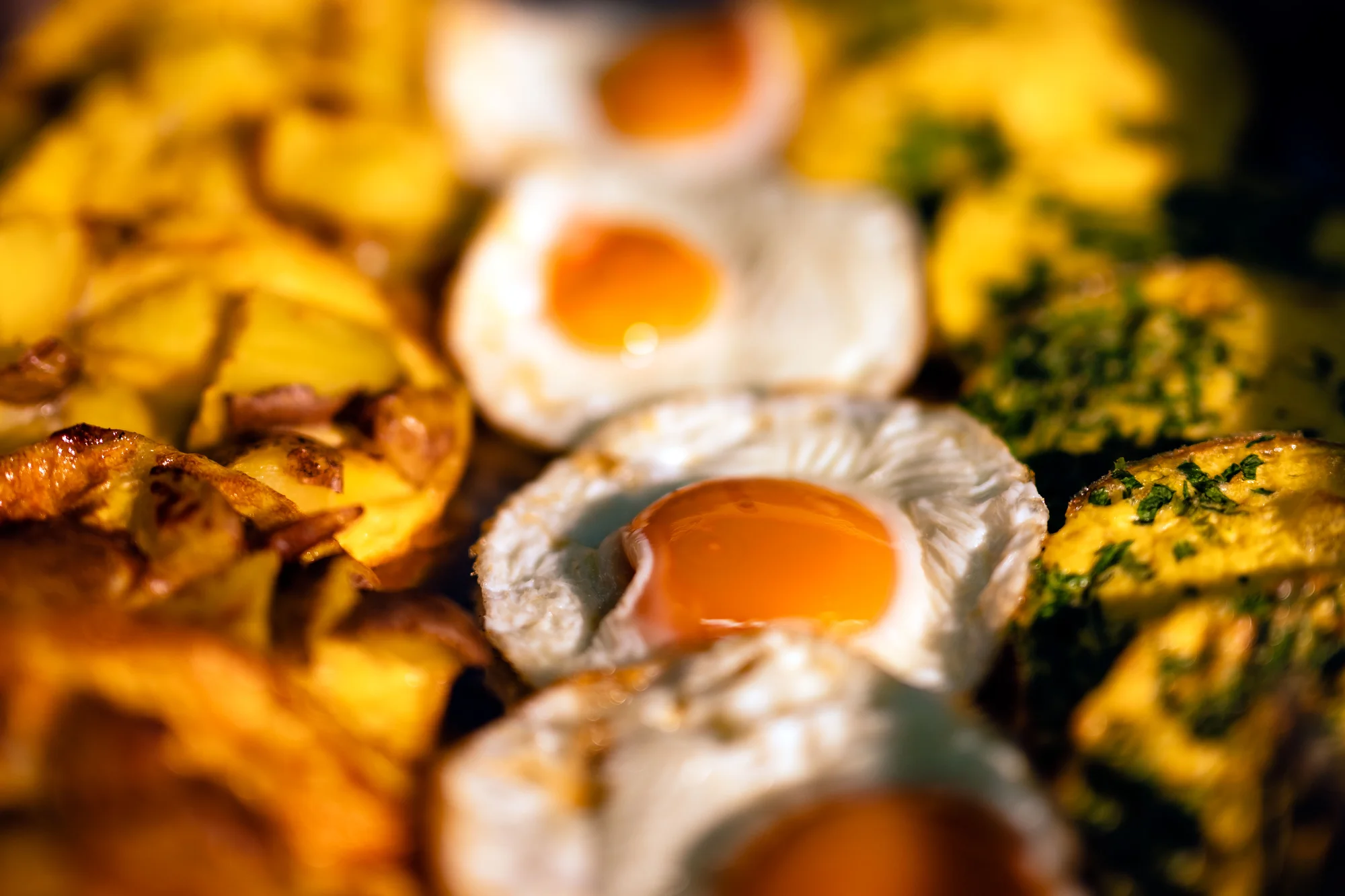 Hotel na břehu Labe v Saském Švýcarsku: polopenze a neomezený wellness