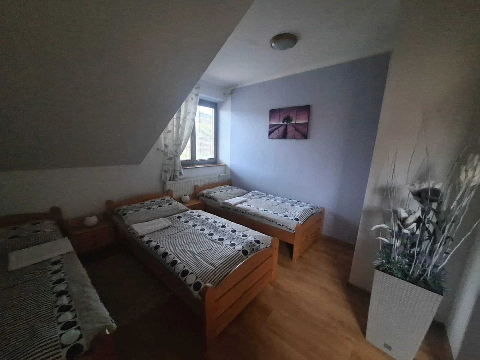 Pobyt s polopenzí a wellness na okouzlujícím Zemplíně