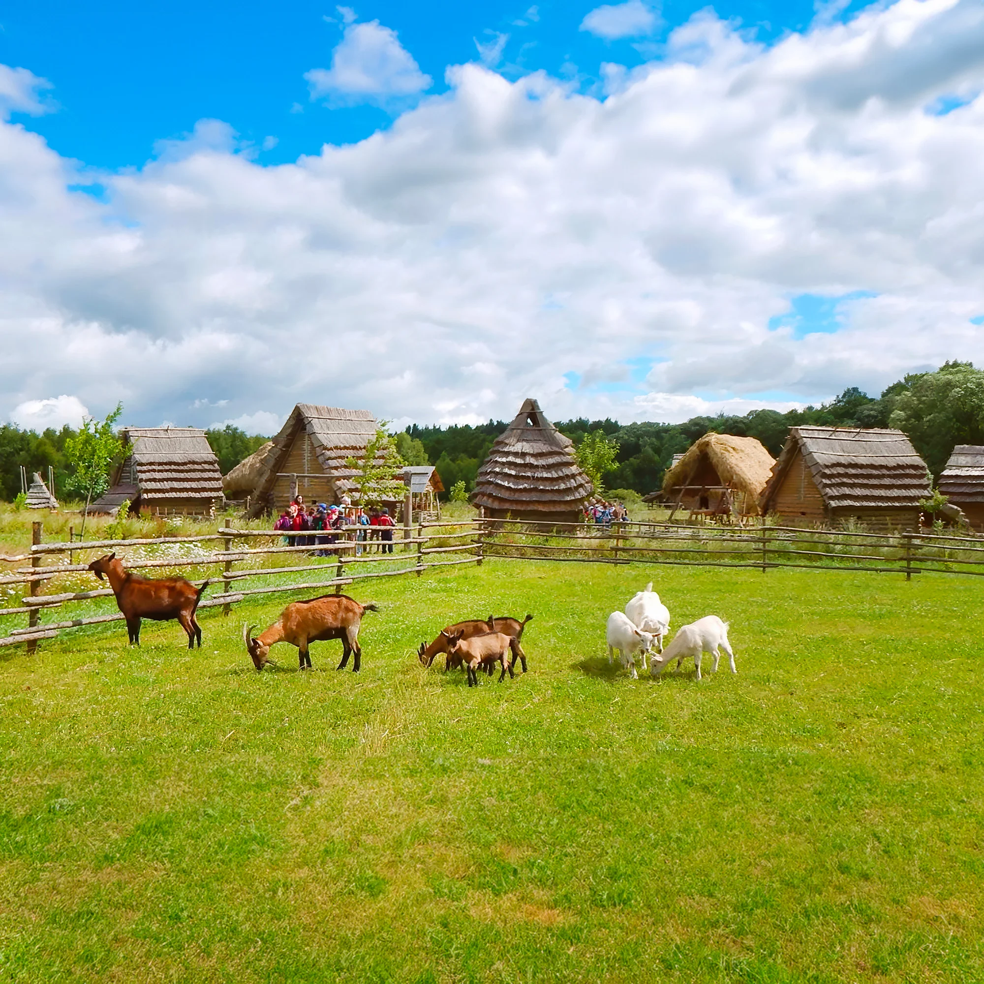 Celý den v přírodním parku Zeměráj: nevšední zážitky, hry a aktivity