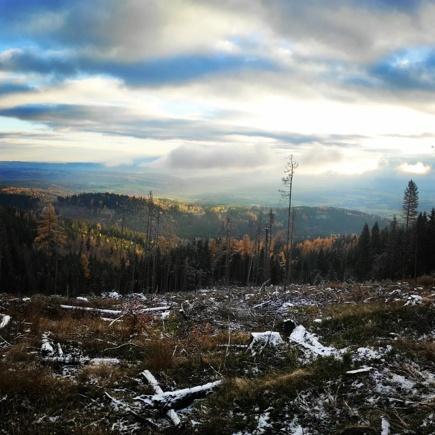 Krkonošská pohádka: penzion se snídaní či polopenzí, možnost wellness