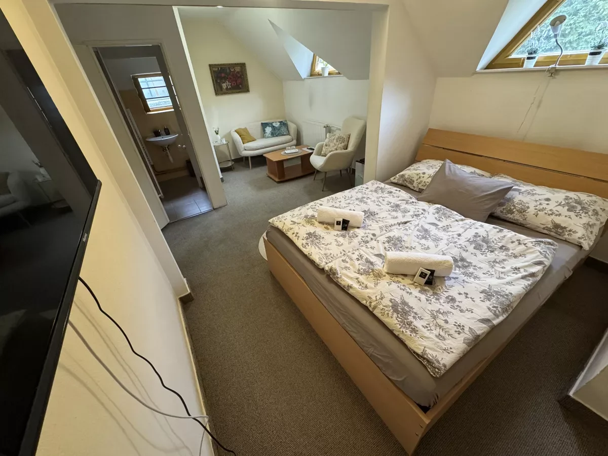 Historická Vládní vila v Luhačovicích: pobyt se snídaní v samém centru lázní