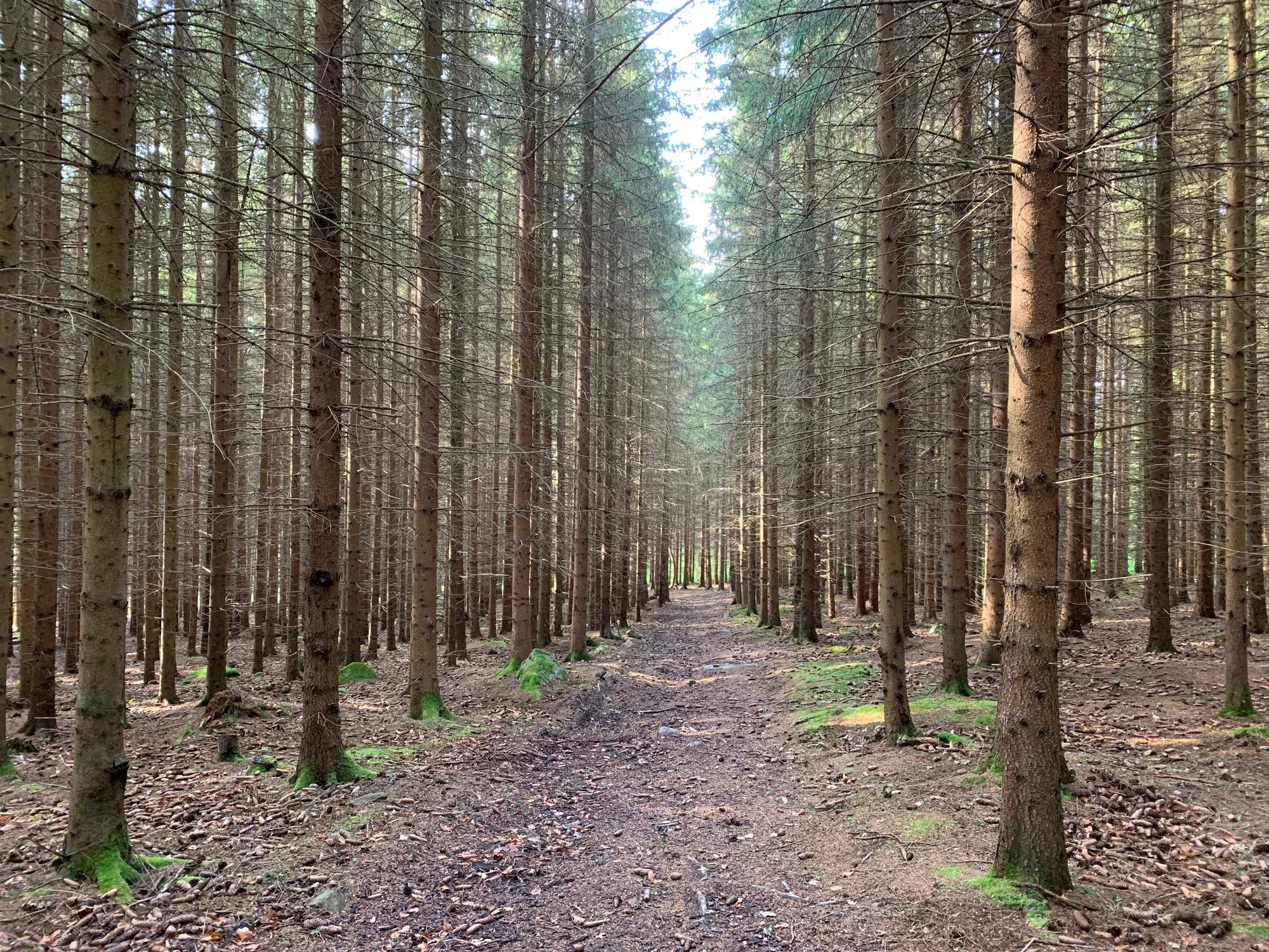Venkovní únikové hry: vybírejte z 19 únikovek v různých městech po celé ČR