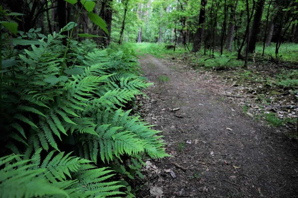 Venkovní únikové hry: vybírejte z 19 únikovek v různých městech po celé ČR