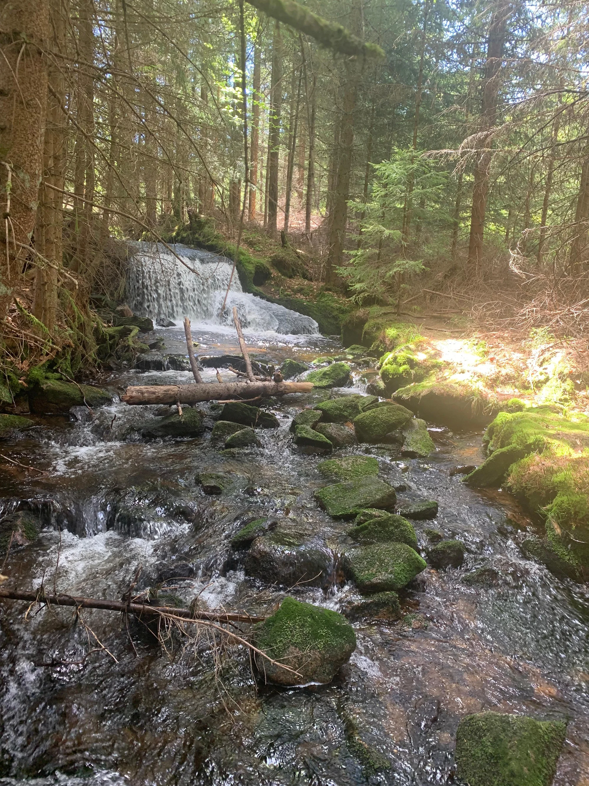 Venkovní únikové hry: vybírejte z 19 únikovek v různých městech po celé ČR