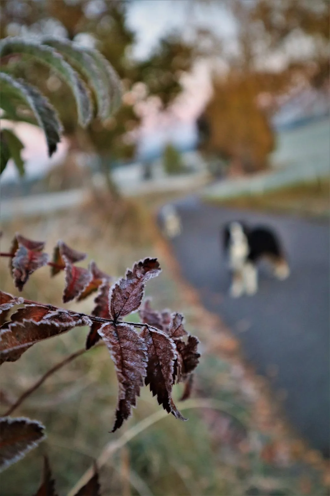 Venkovní únikové hry: vybírejte z 19 únikovek v různých městech po celé ČR