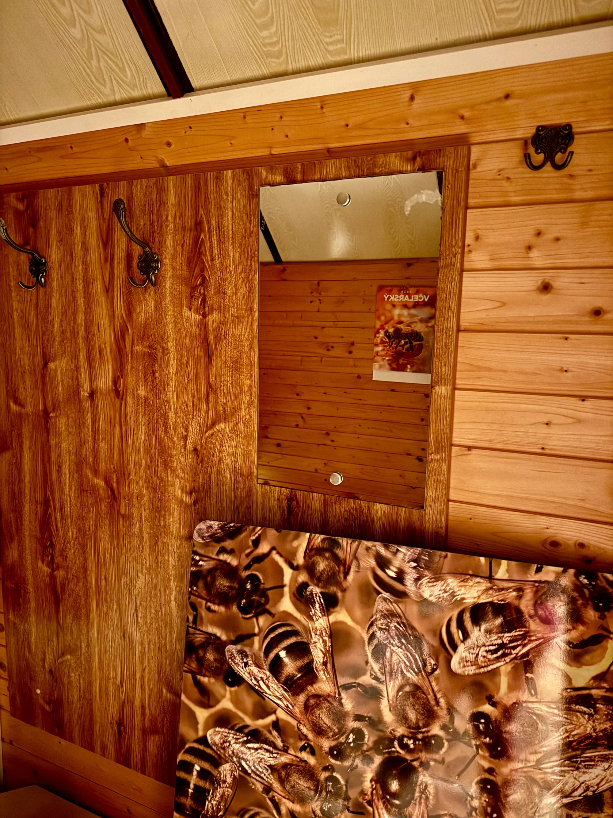 Úniková hra ve včelím světě: netradiční hádanky pro dva i partu přátel