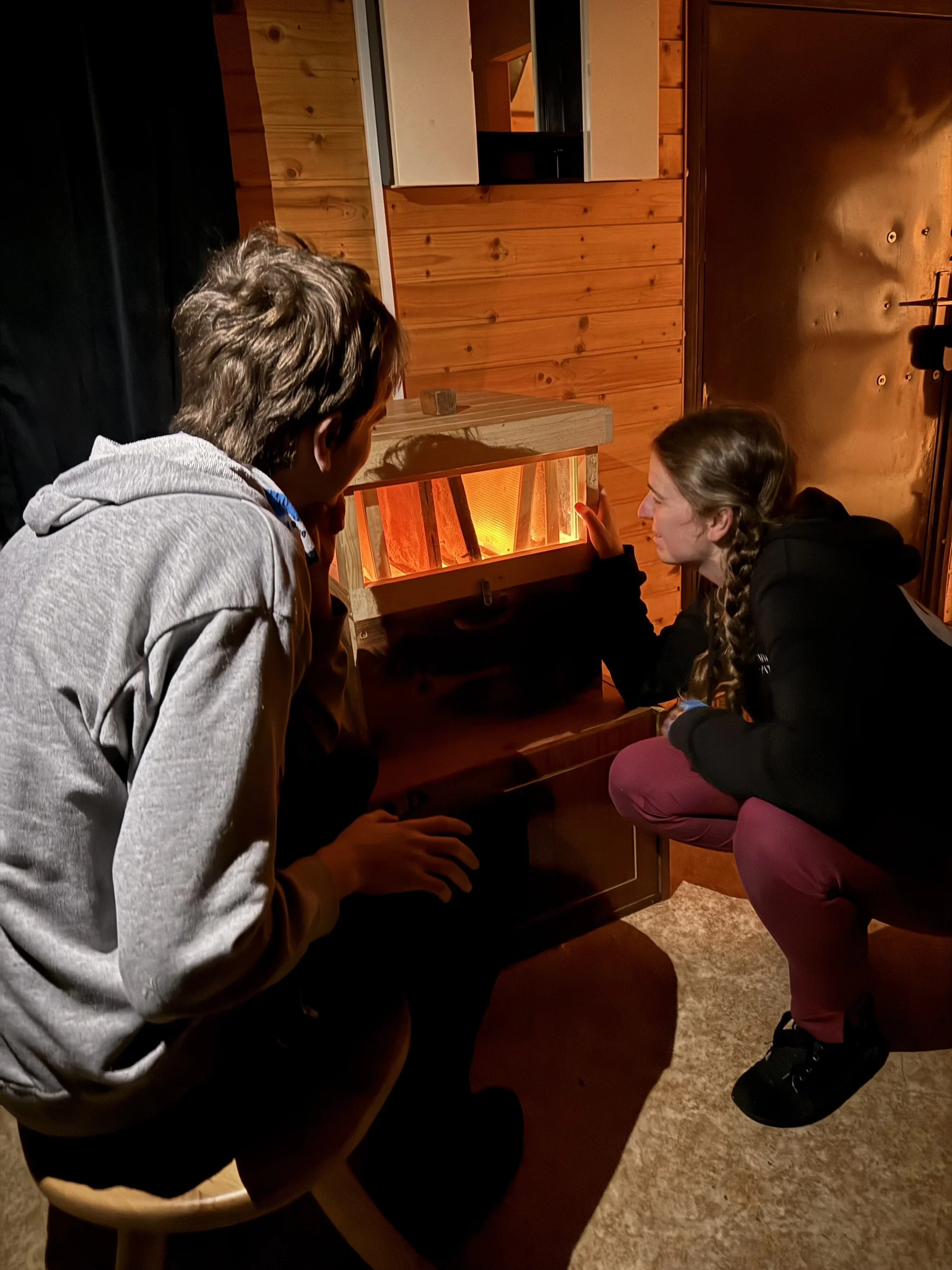 Úniková hra ve včelím světě: netradiční hádanky pro dva i partu přátel