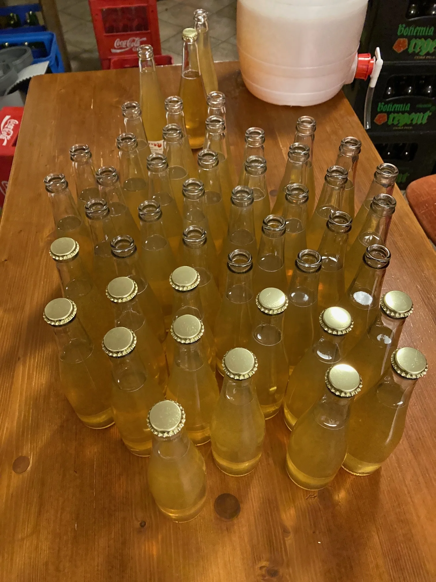 Kurz výroby cideru pro 1 nebo 2 osoby a 2–4 l výsledného nápoje jako výslužka