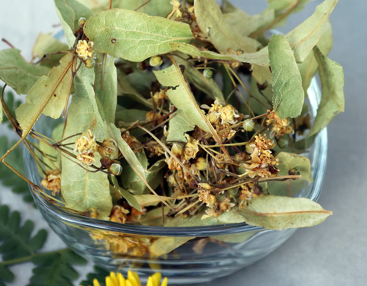 Kurz výroby bylinných čajů vč. ochutnávky, pro 1 nebo 2 osoby