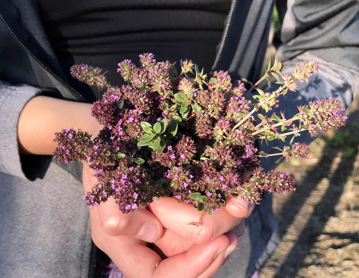 Kurz výroby bylinných čajů vč. ochutnávky, pro 1 nebo 2 osoby