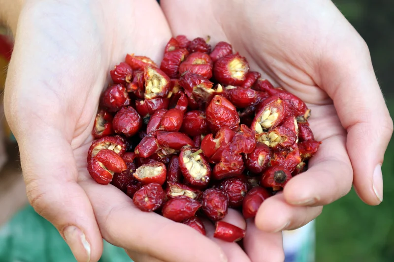 Kurz výroby bylinných čajů vč. ochutnávky, pro 1 nebo 2 osoby