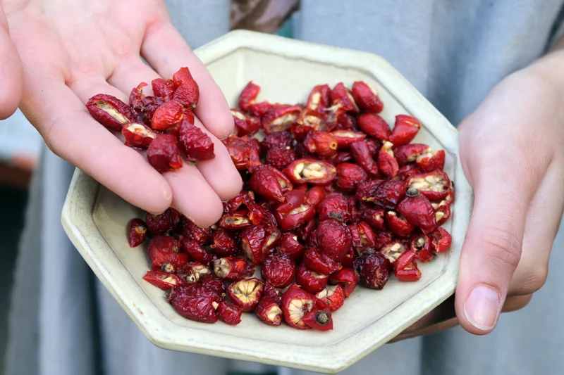 Kurz výroby bylinných čajů vč. ochutnávky, pro 1 nebo 2 osoby