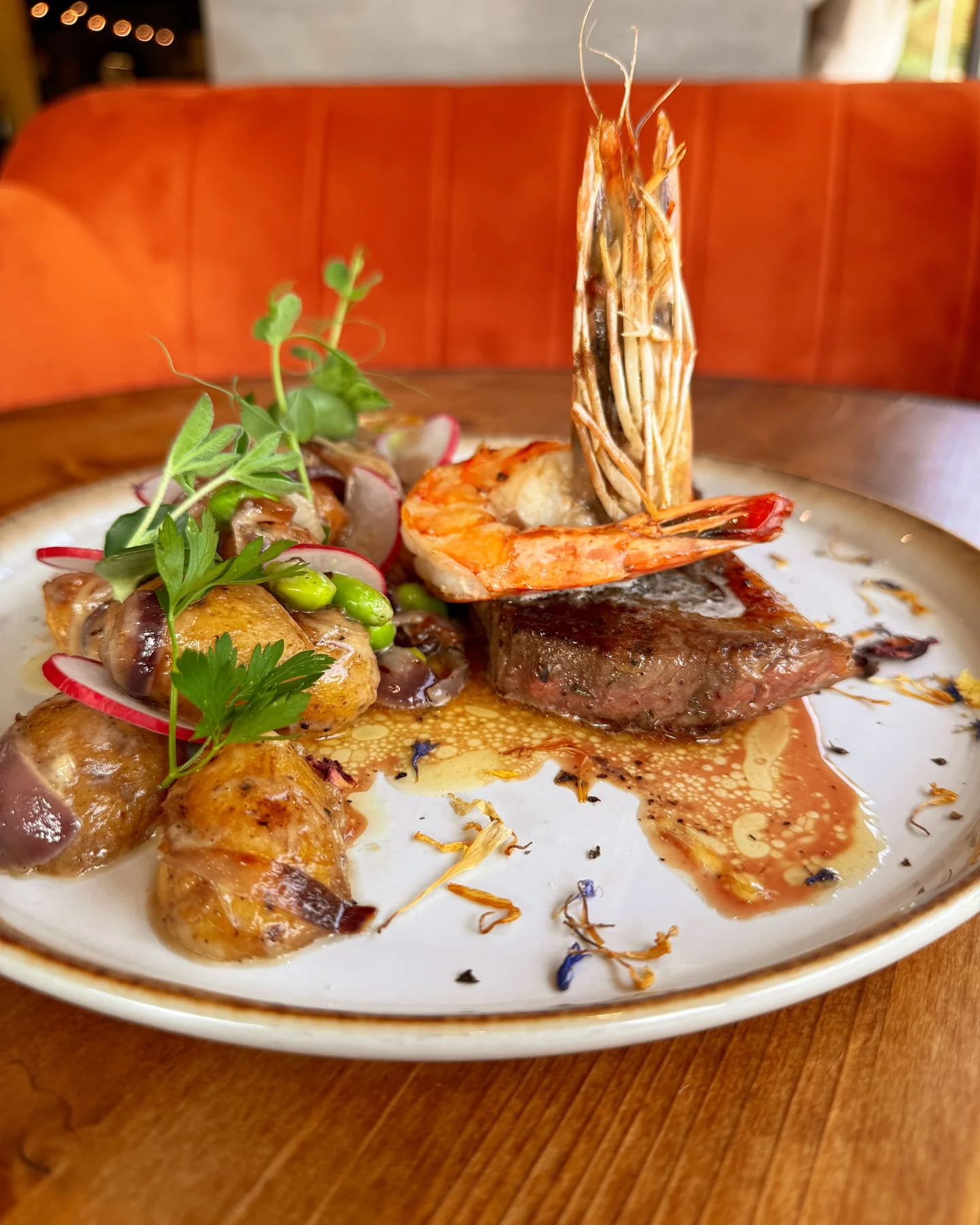 Do zoo i na Ještěd: pobyt v hotelu a hostelu se snídaní v klidné části Liberce