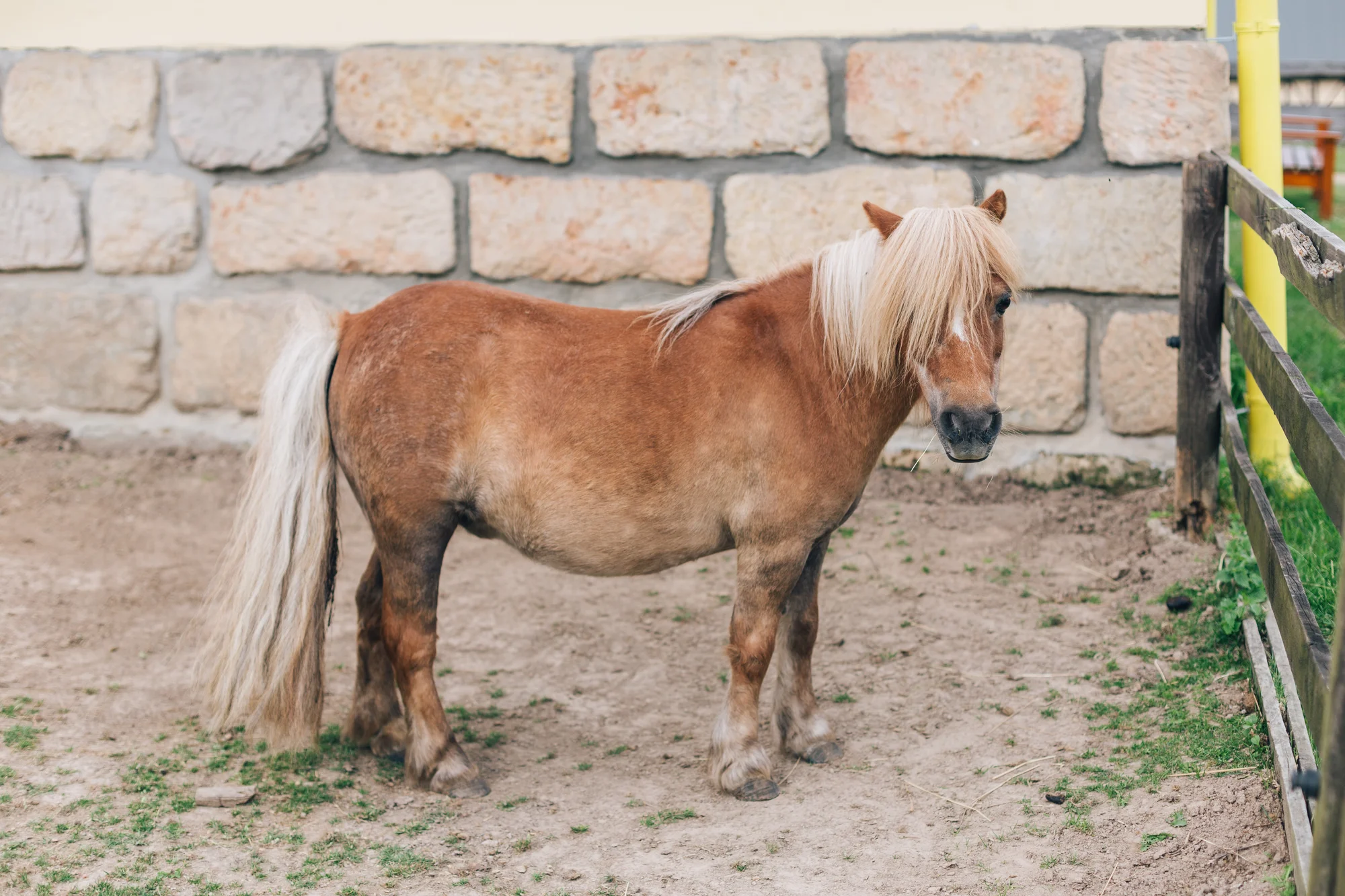 Pobyt v plně vybavené chalupě či srubu až pro 11 osob v Lužických horách