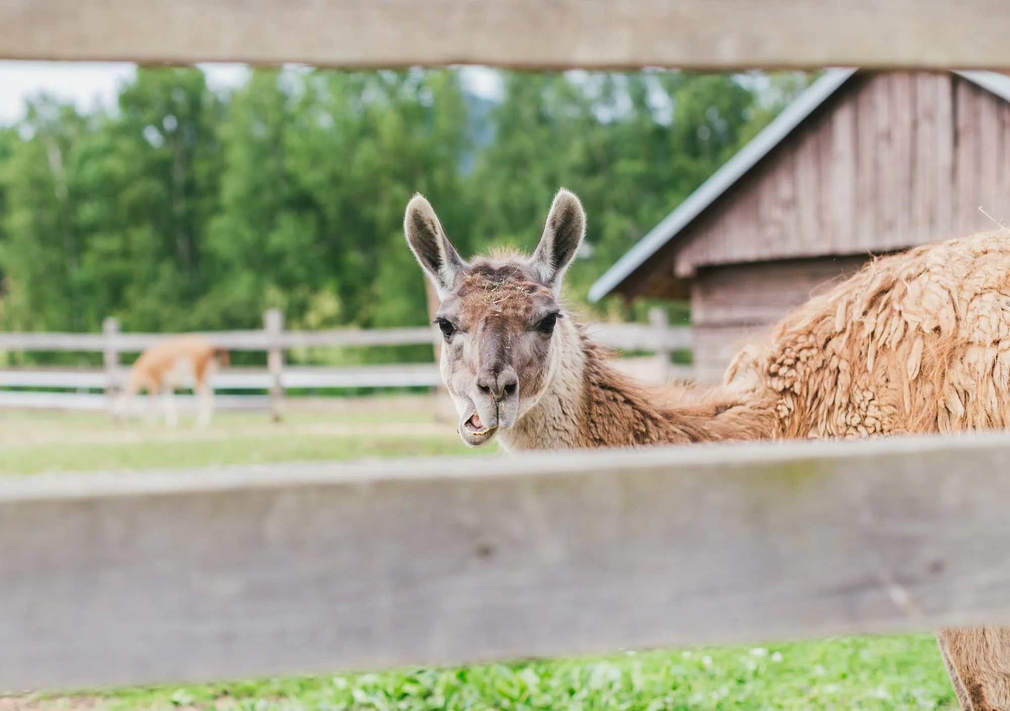 Pobyt v plně vybavené chalupě či srubu až pro 11 osob v Lužických horách
