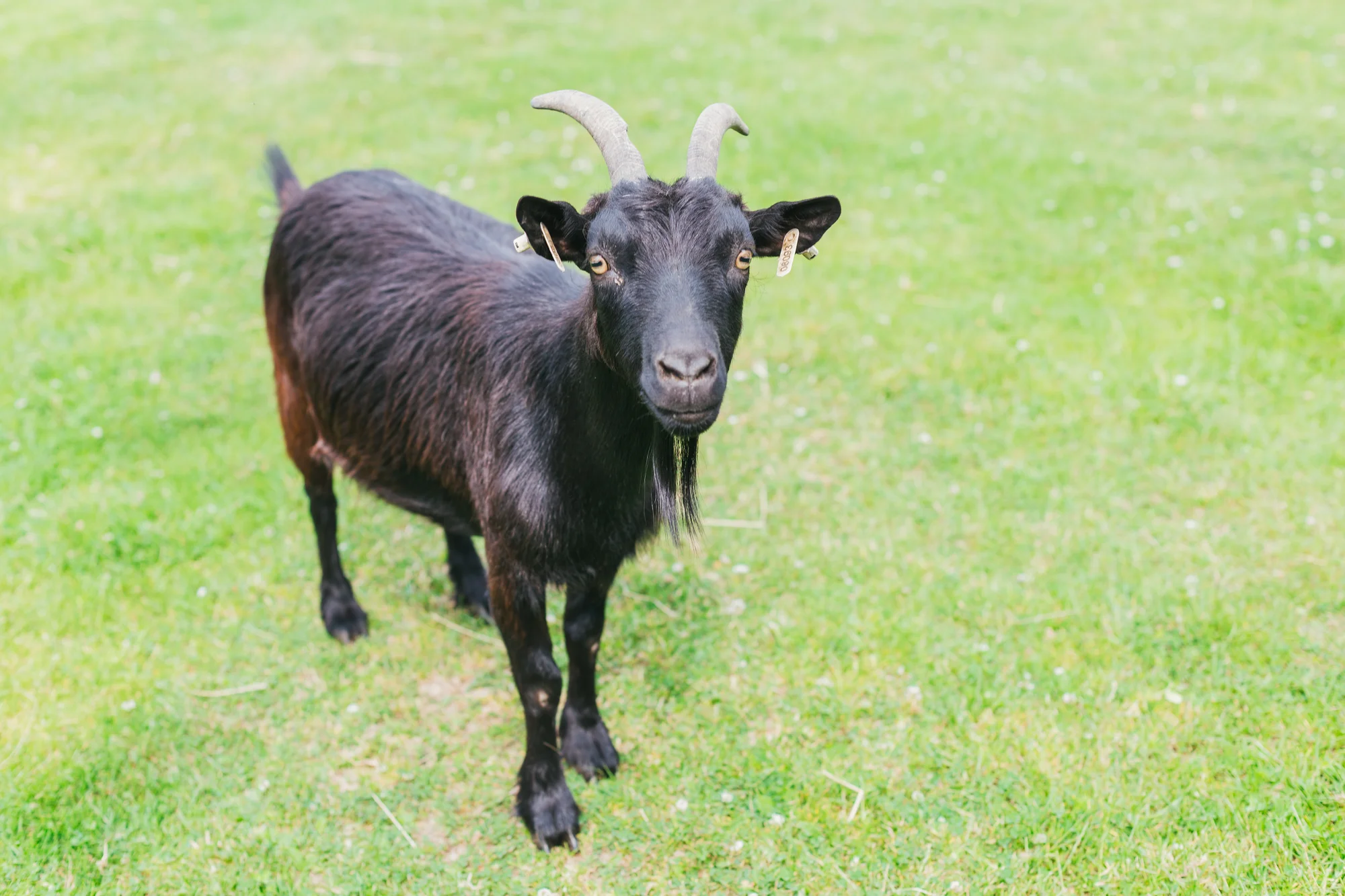 Pobyt v plně vybavené chalupě či srubu až pro 11 osob v Lužických horách
