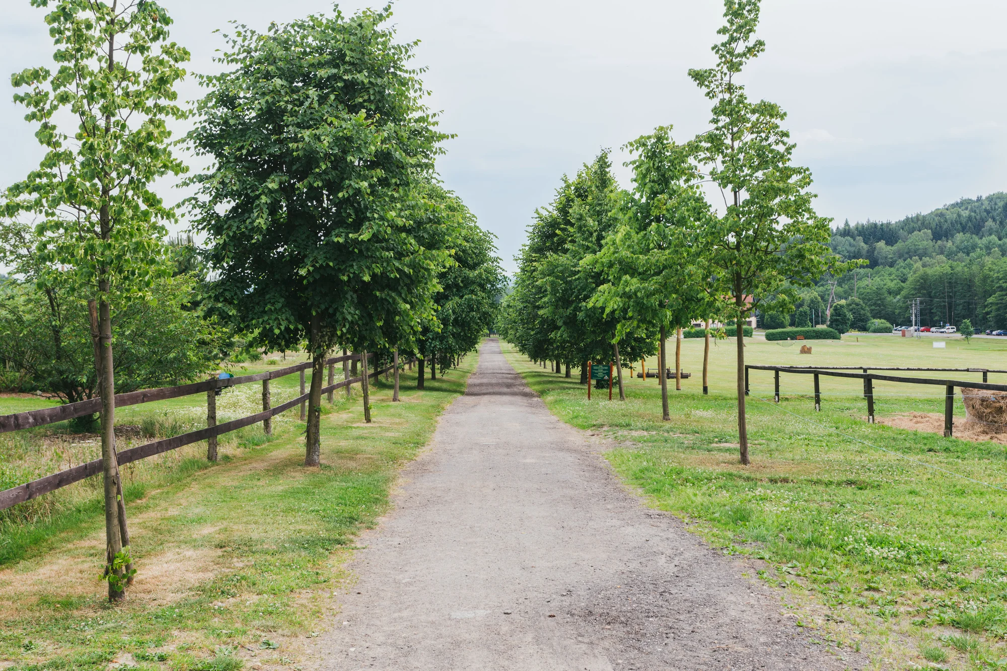 Pobyt v plně vybavené chalupě či srubu až pro 11 osob v Lužických horách