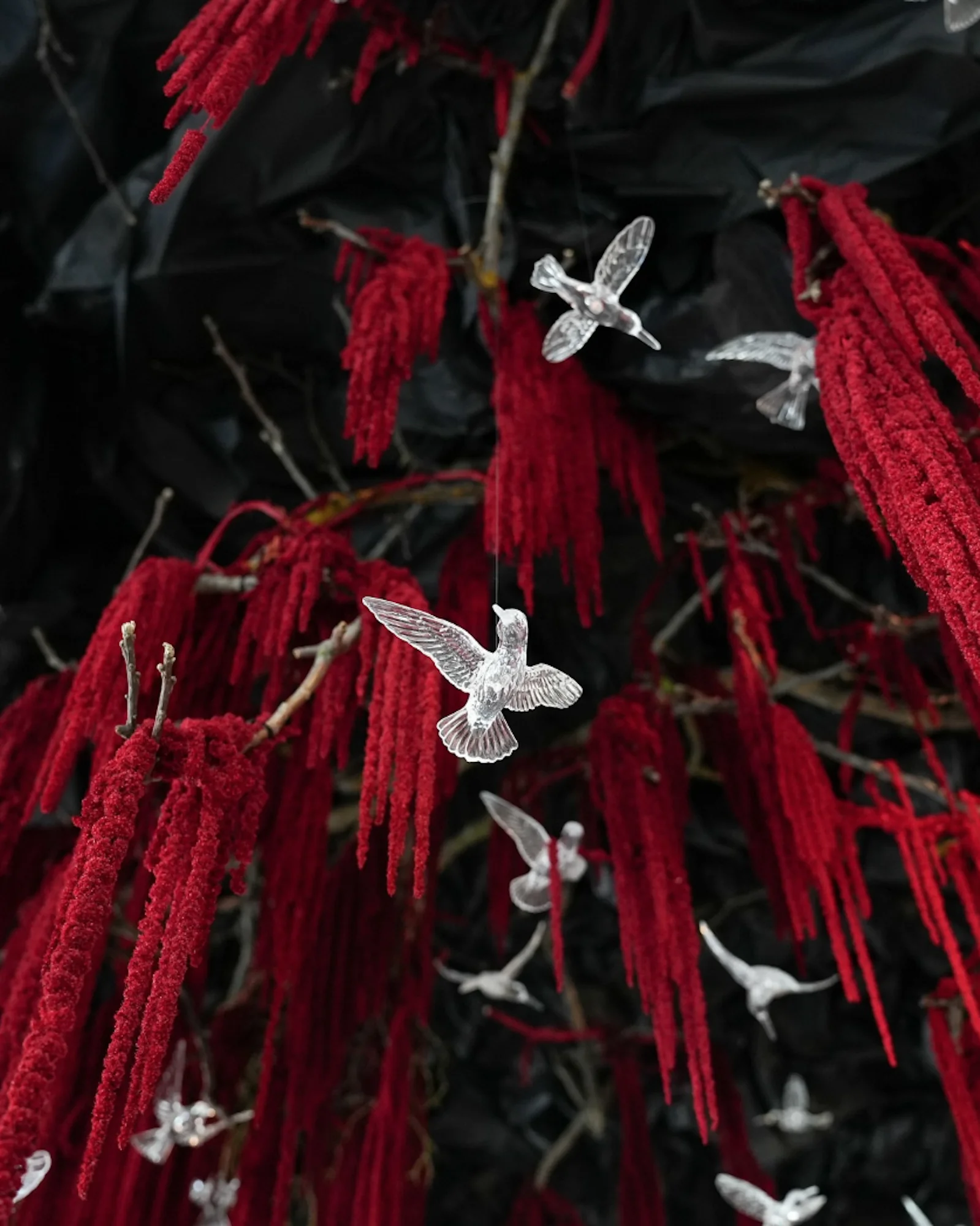 Luxusní Asie v centru Prahy: 11chodové degustační menu od vítězky Hell's Kitchen