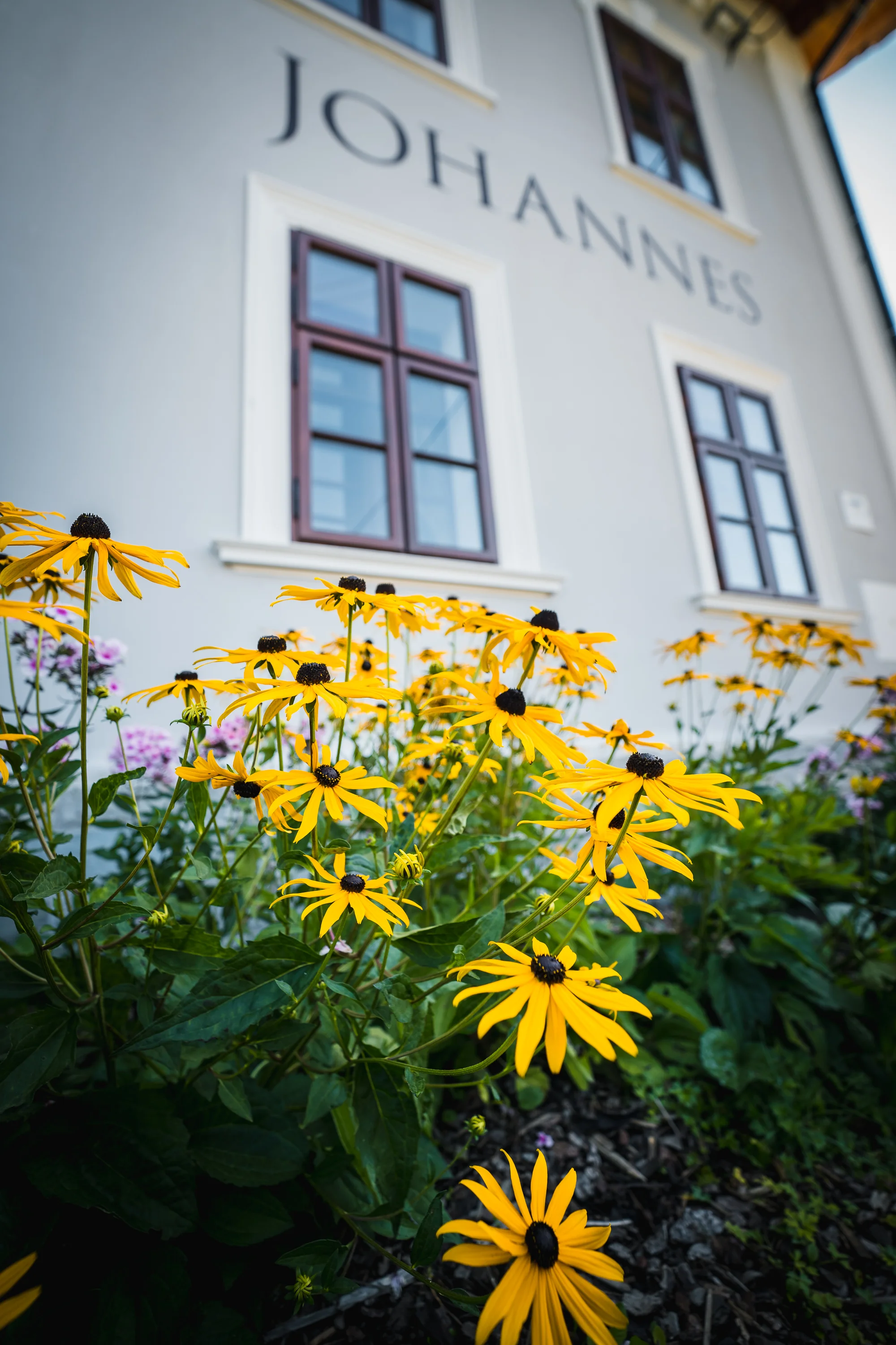 Útulný penzion v Jeseníkách: apartmán až pro 6 osob, výlety do Velkých Losin, na Praděd i k vodopádům