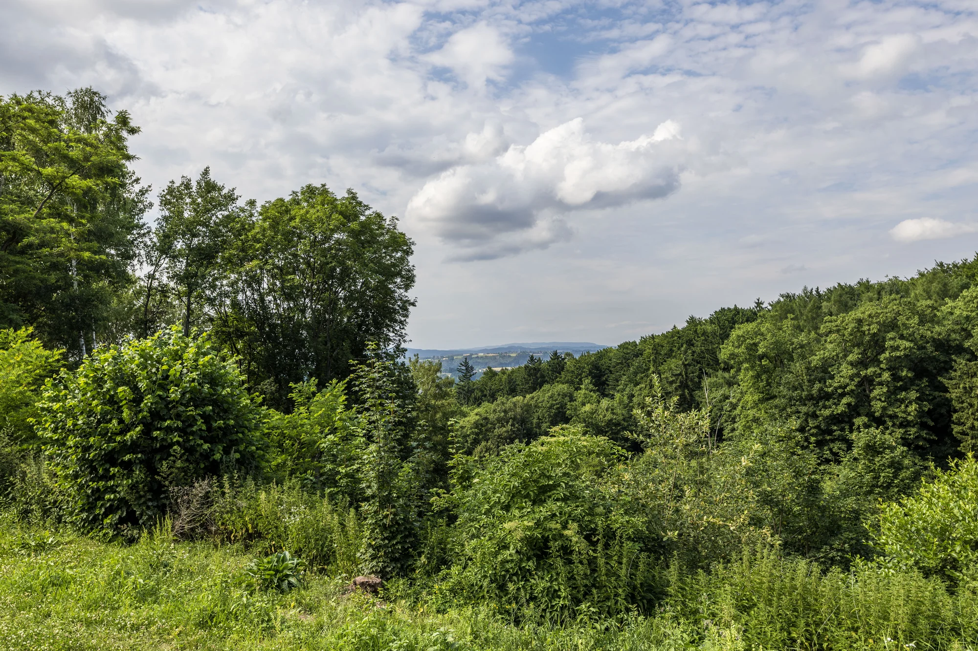 Ráj všech výletníků: penzion u Náchoda s polopenzí a venkovním bazénem