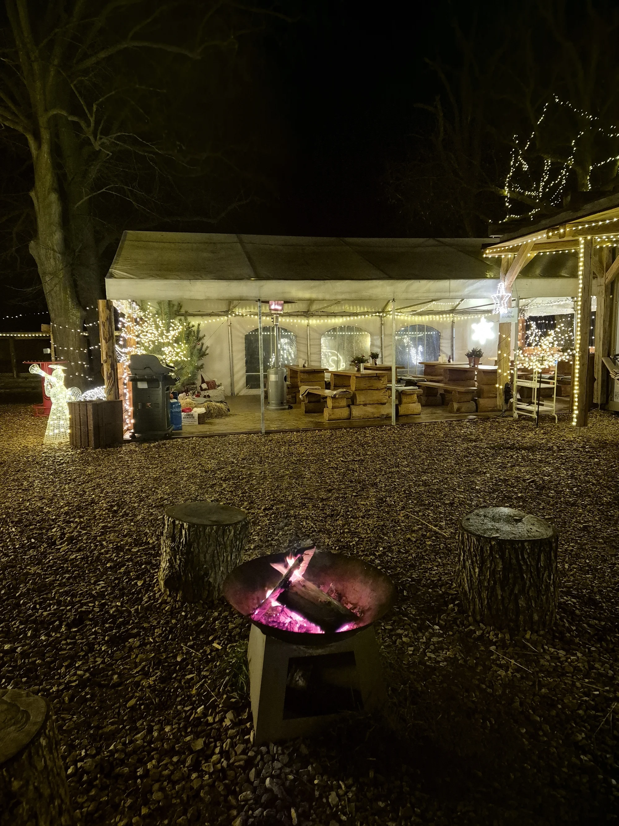 Rodinná procházka s alpakou pro 2 dospělé a 2 děti: seznamka i krmení a focení