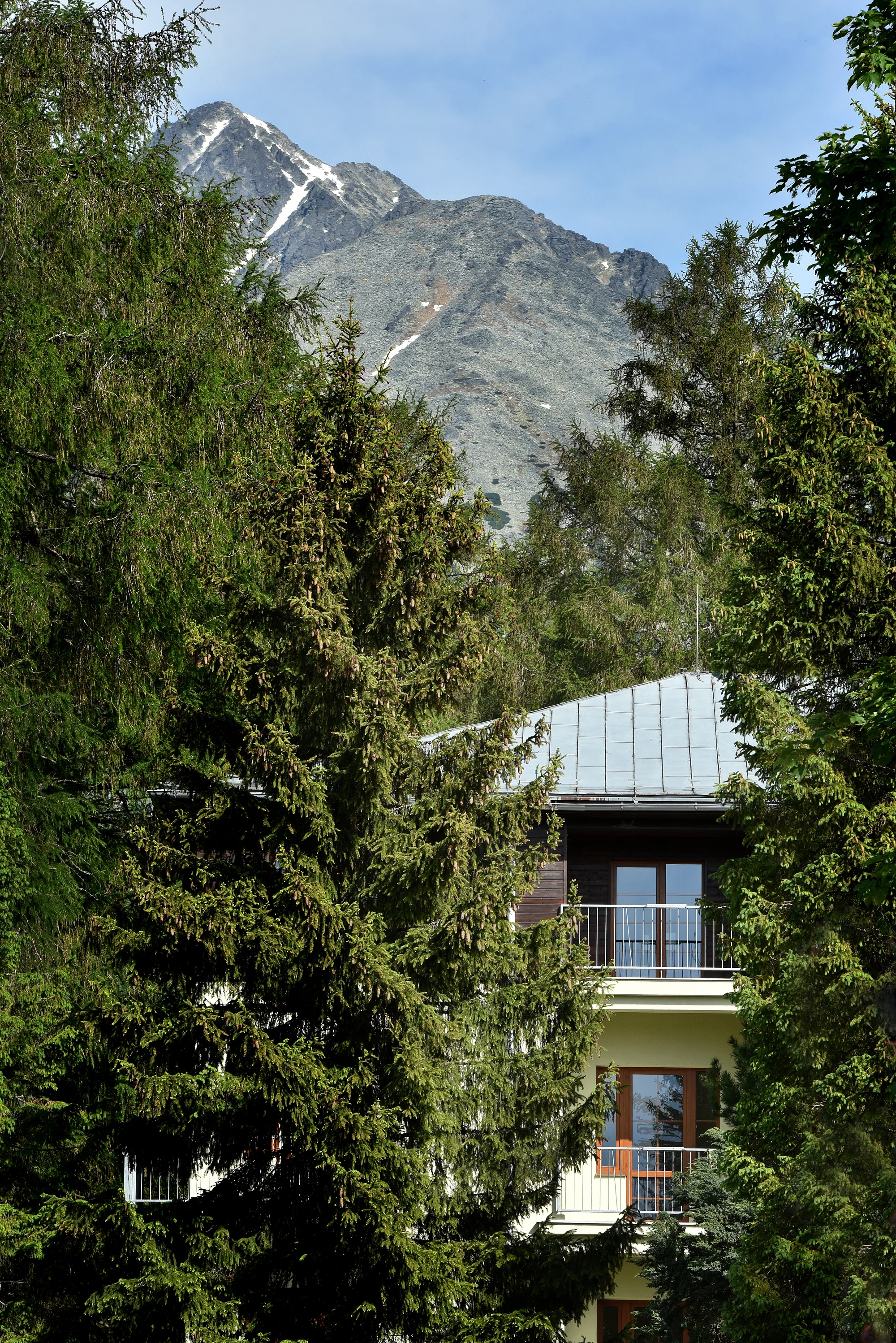 Pobyt v hotelu se snídaní a wellness v nádherné přírodě Tatranské Lomnice