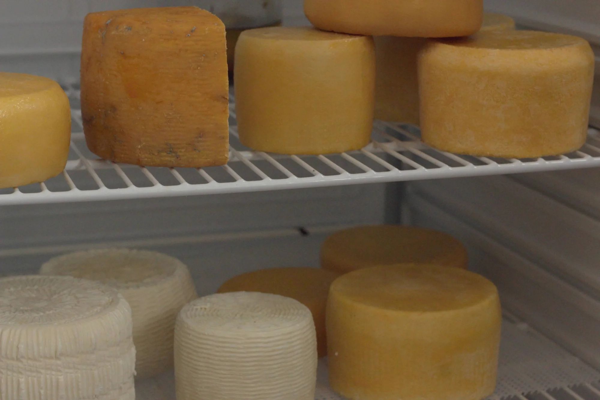 Vyrobte si domácí sýr, tvaroh nebo kefír: online kurz včetně osobních konzultací