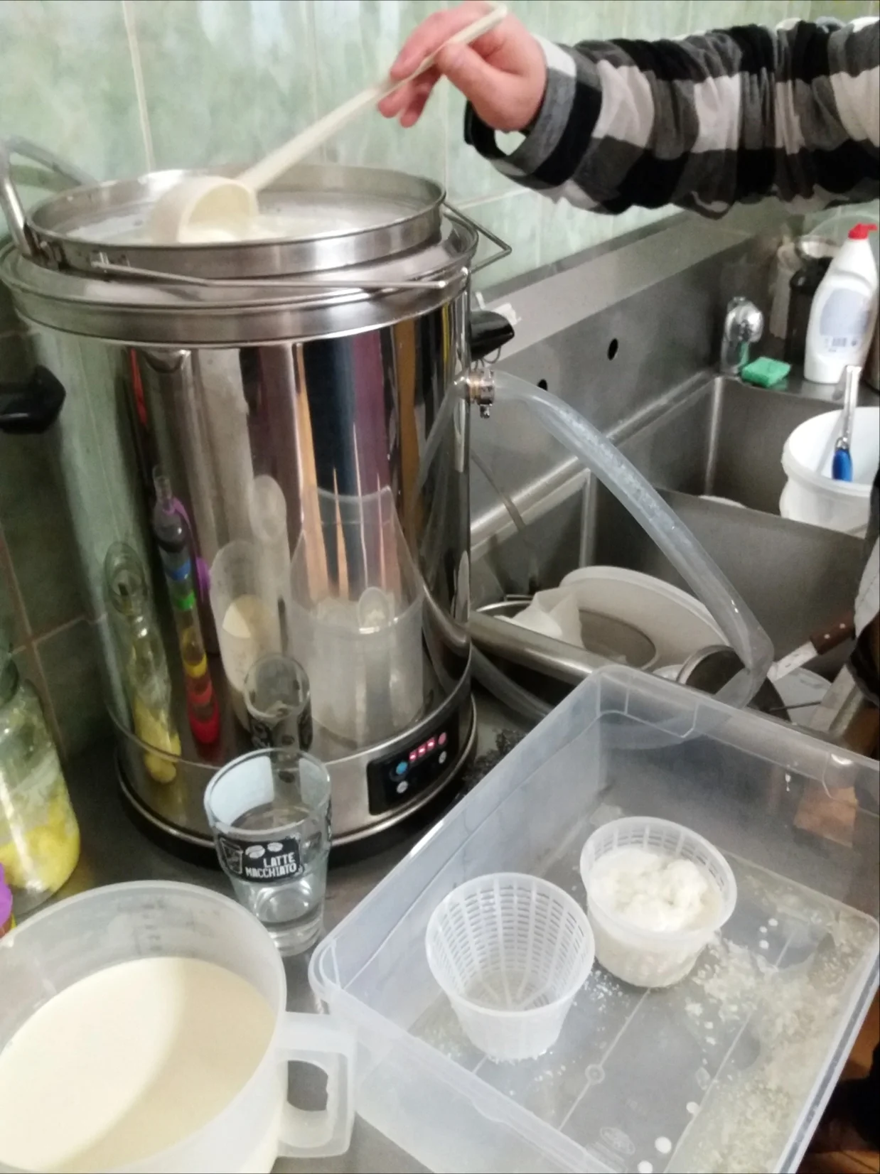 Vyrobte si domácí sýr, tvaroh nebo kefír: online kurz včetně osobních konzultací