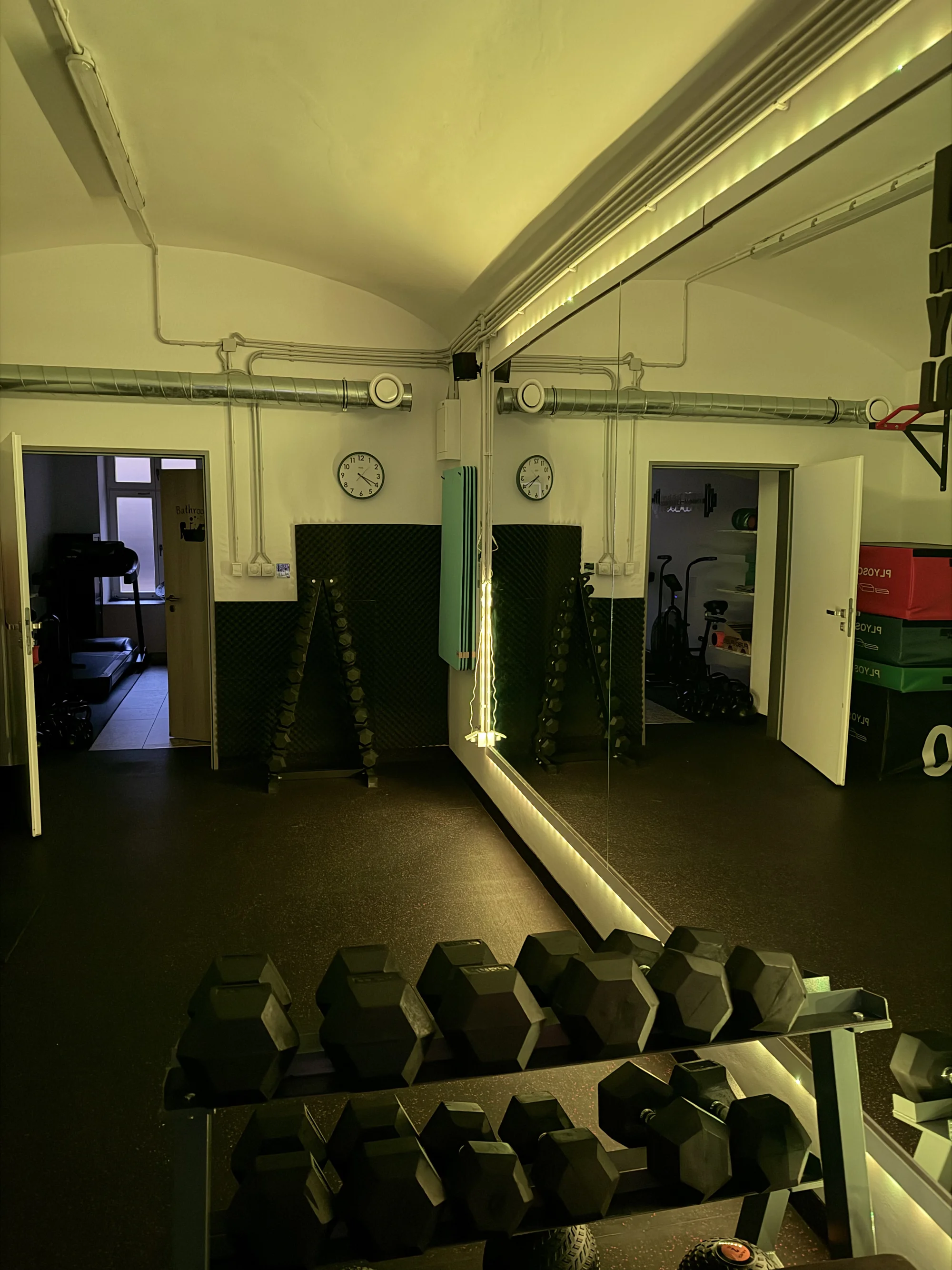 Hodinové vstupy do soukromé posilovny i s trenérkou pro 1–3 osoby