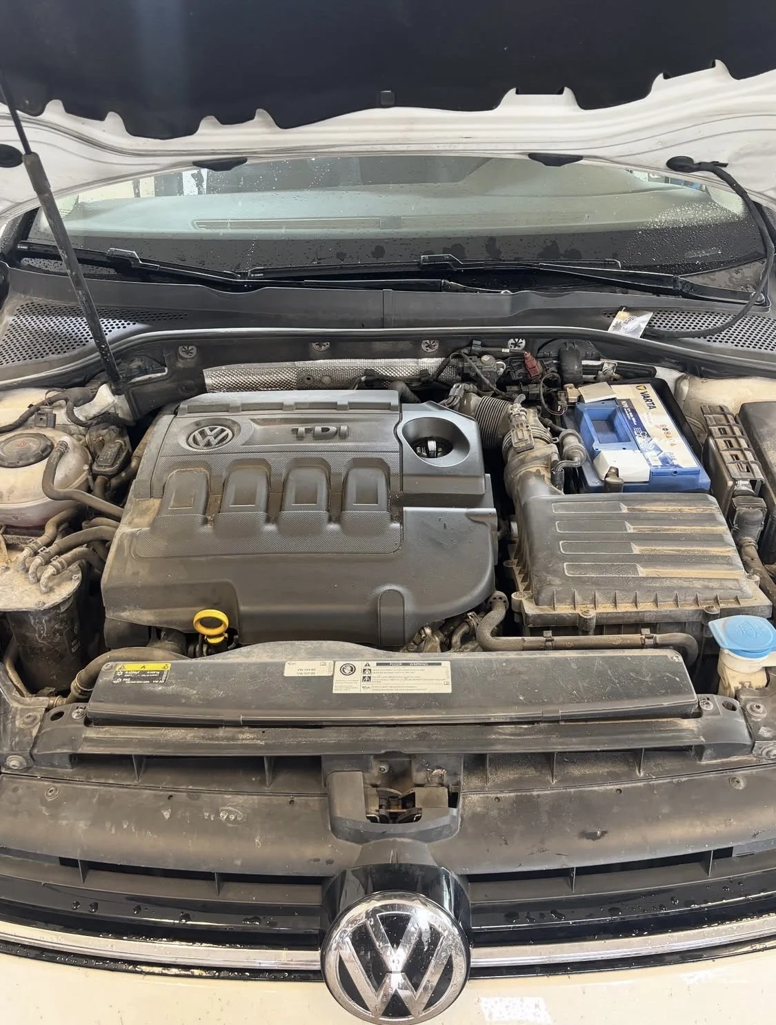 Detailní čištění auta: interiér vč. tepování, exteriér, ozon i kompletní balíček