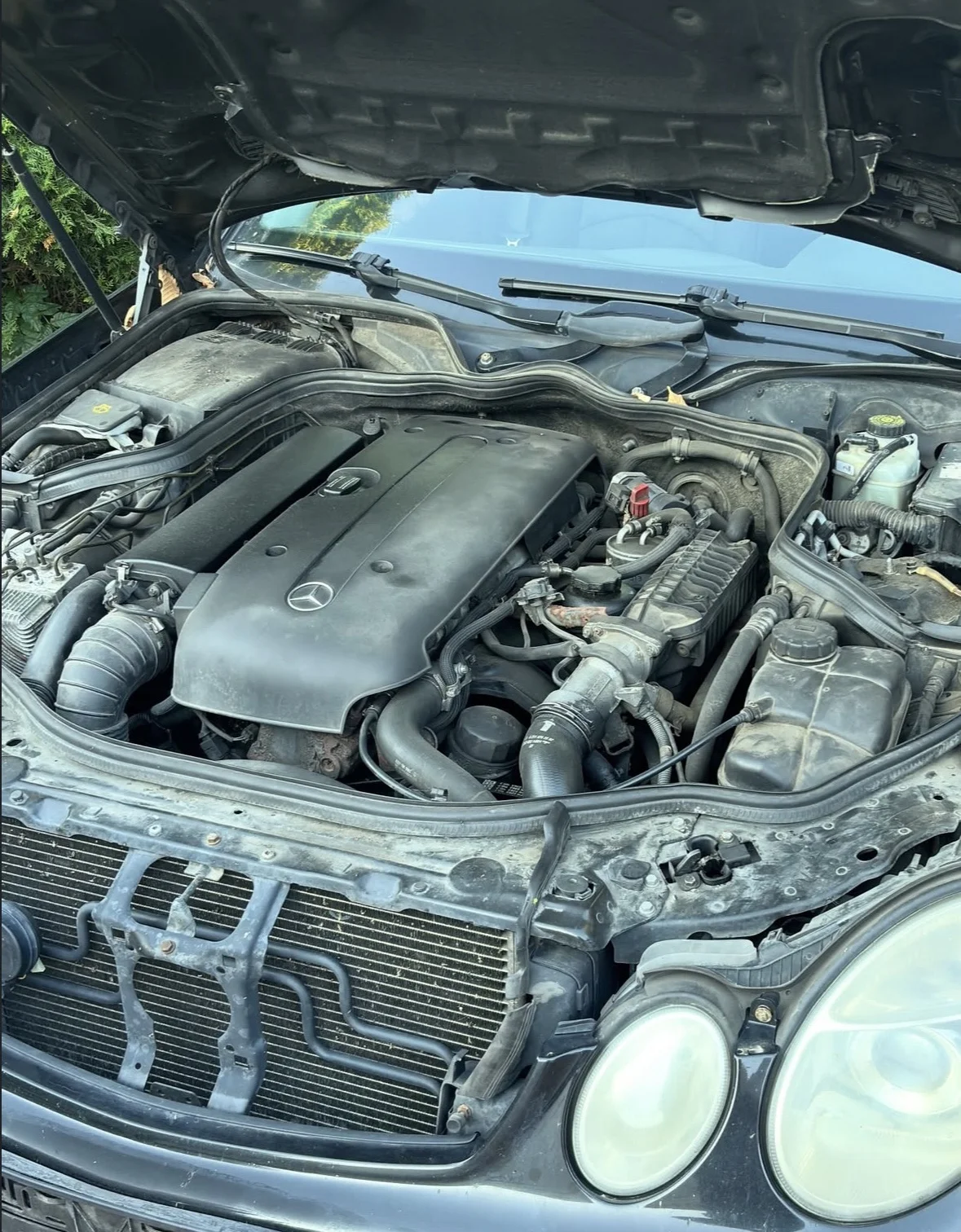 Detailní čištění auta: interiér vč. tepování, exteriér, ozon i kompletní balíček