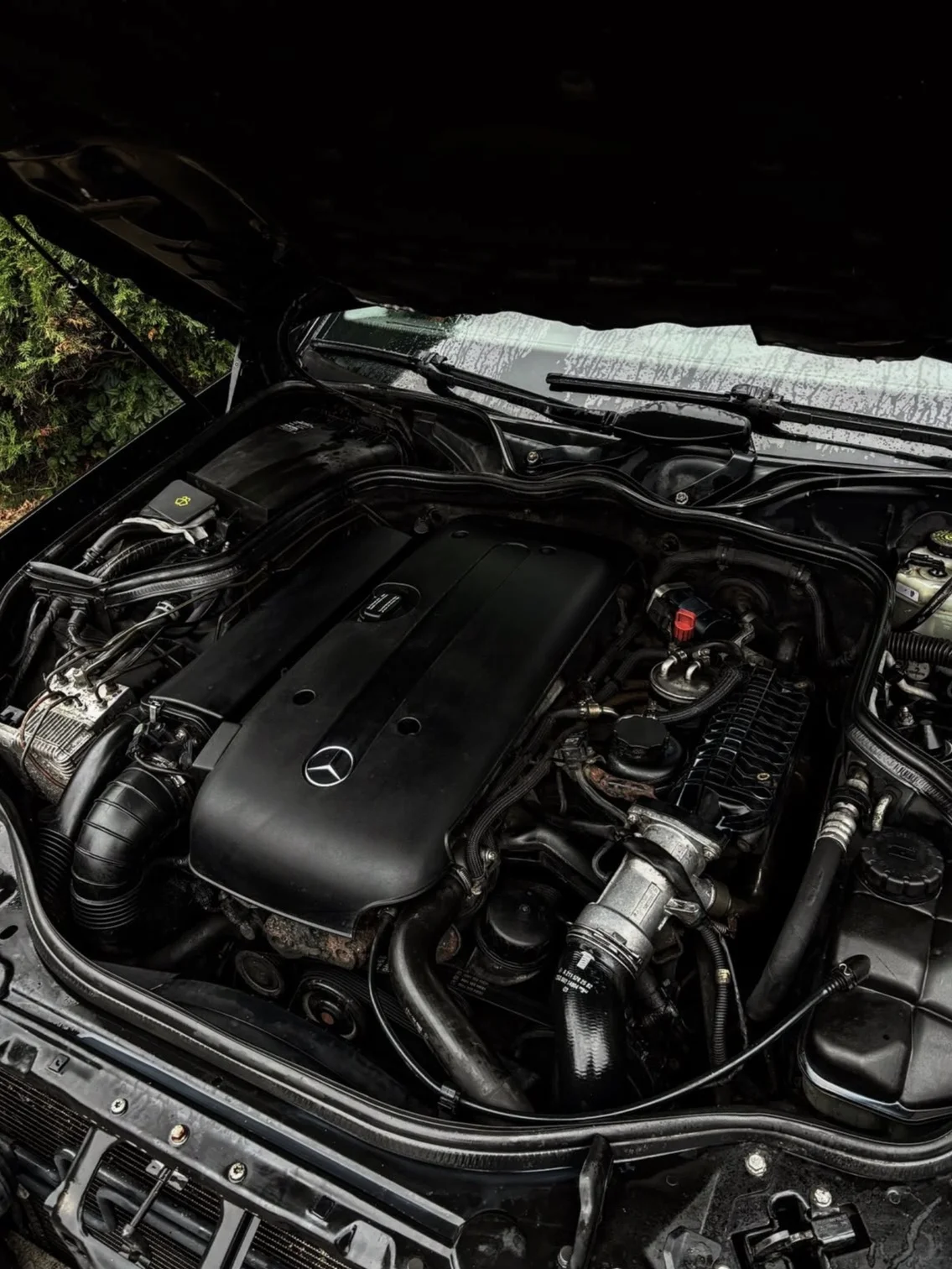 Detailní čištění auta: interiér vč. tepování, exteriér, ozon i kompletní balíček